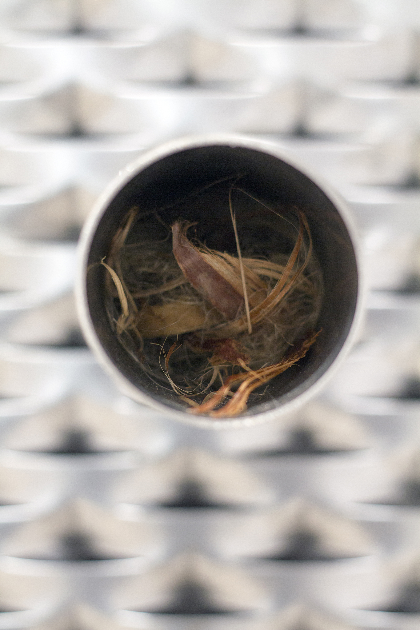 Untitled (intruder), 2024 (detail)