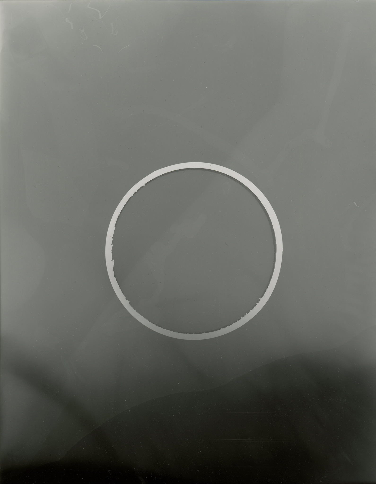 Summer Metal II, 2024. Rayograms on RC Kodak paper. 20 x 25 cm