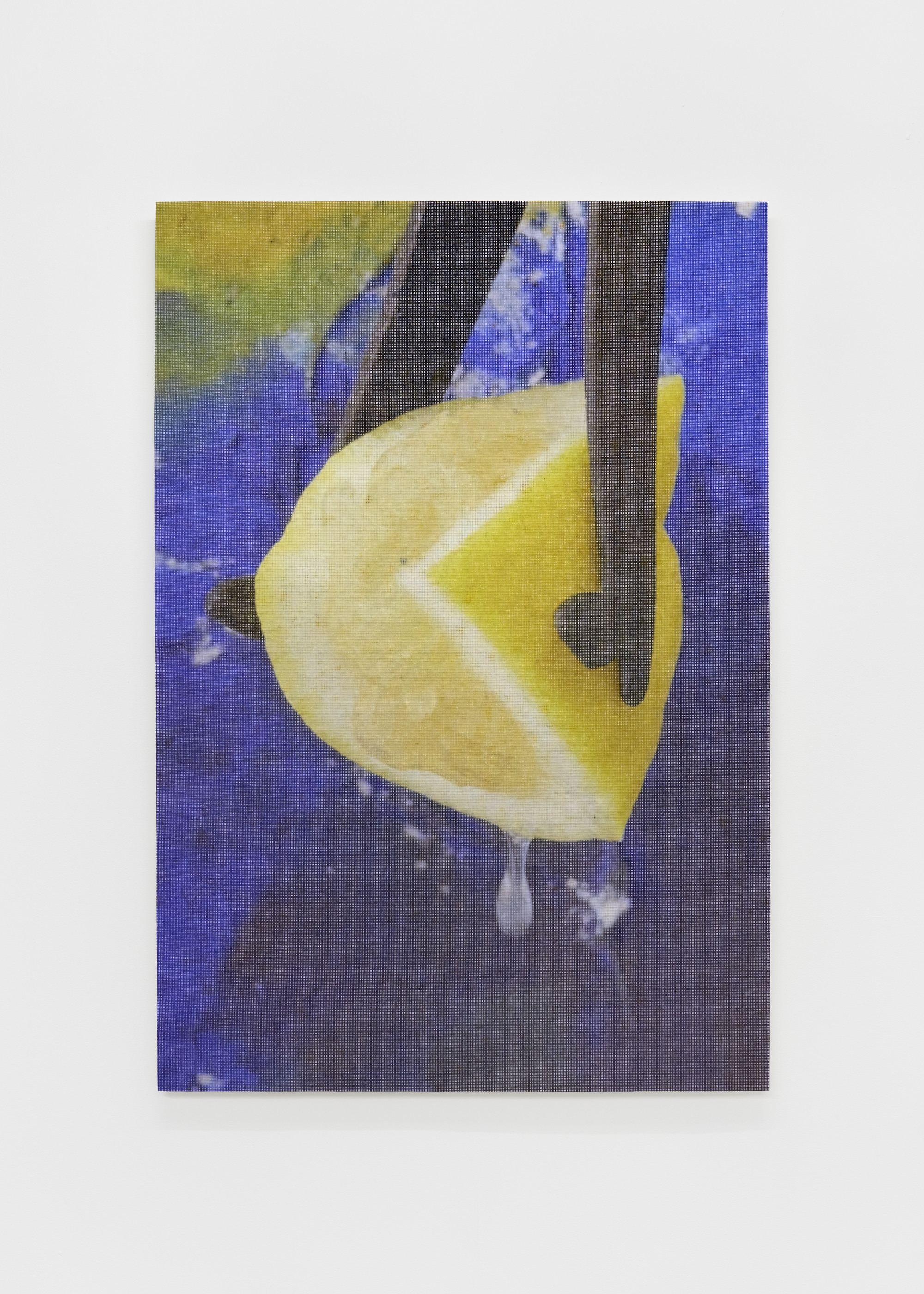 James Fuller, The antidotes (frame 01), 2024. UV print on cotton embroidery mesh, mixed textile mattress wadding, powder-coated steel, 128(H) x 88(W) x 3(D) cm