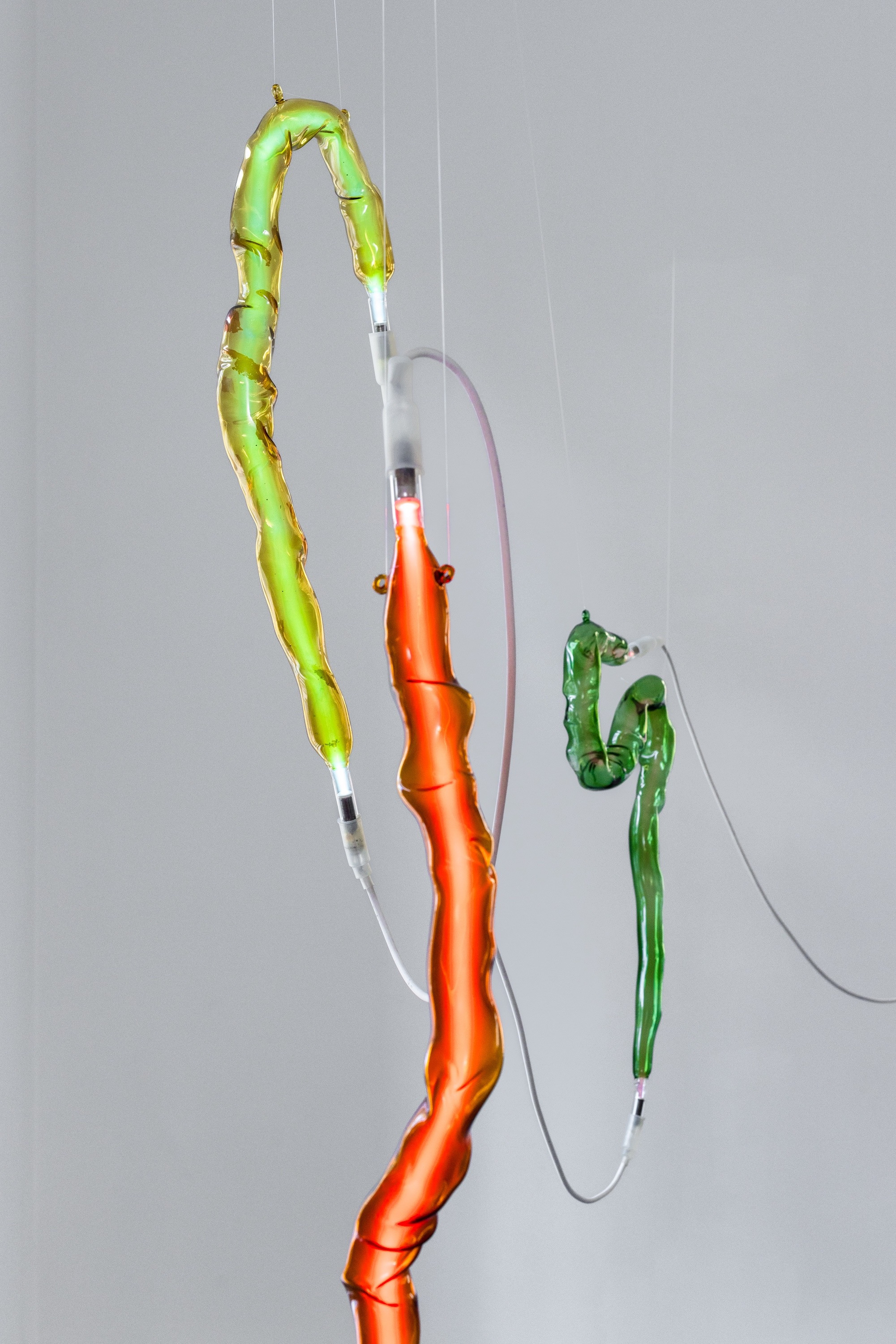 Saskia Fischer, Lights, 2022. Borosilicate glass, neon, argon, cable, transformer, dimensions variable © 2024 nova space of Bauhaus-Universität Weimar, courtesy of the artist, photo: Jannis Uffrecht