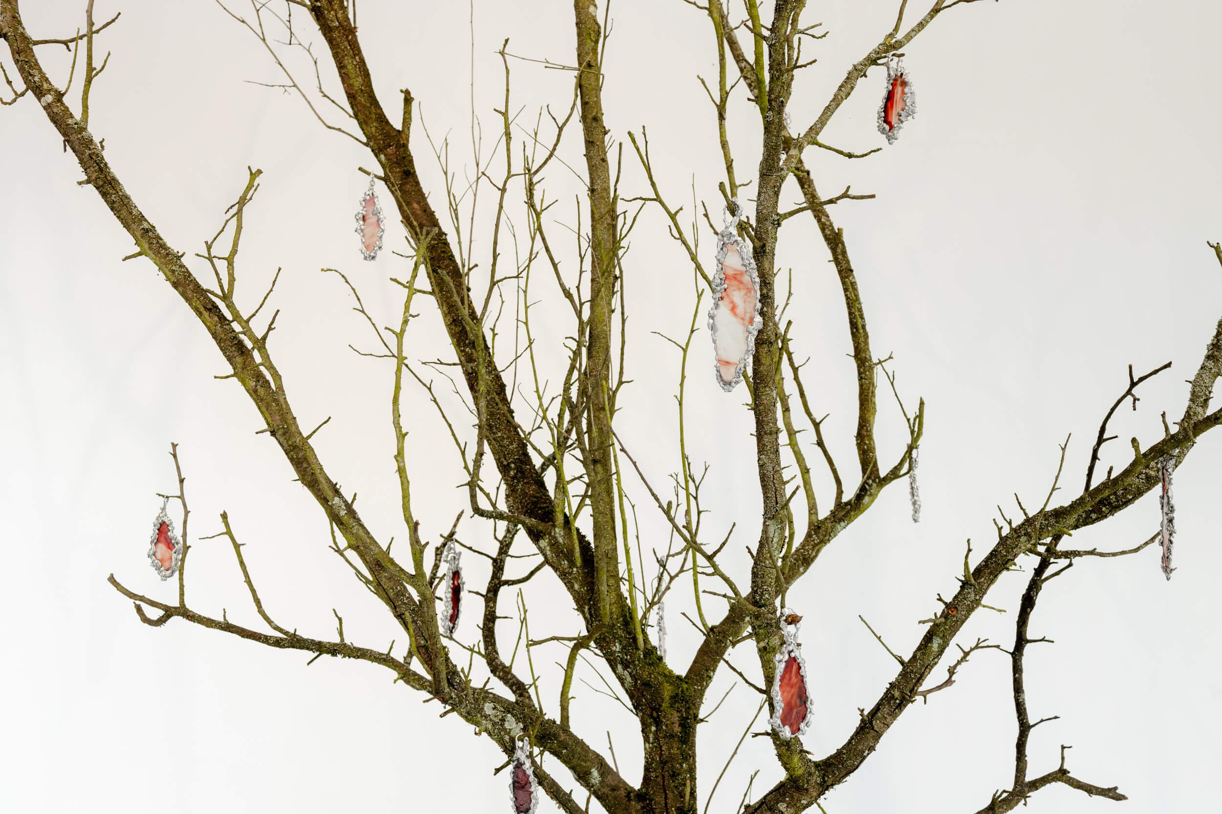 The Poisoned Tree / audio installation, tree, glass and tin, 2024