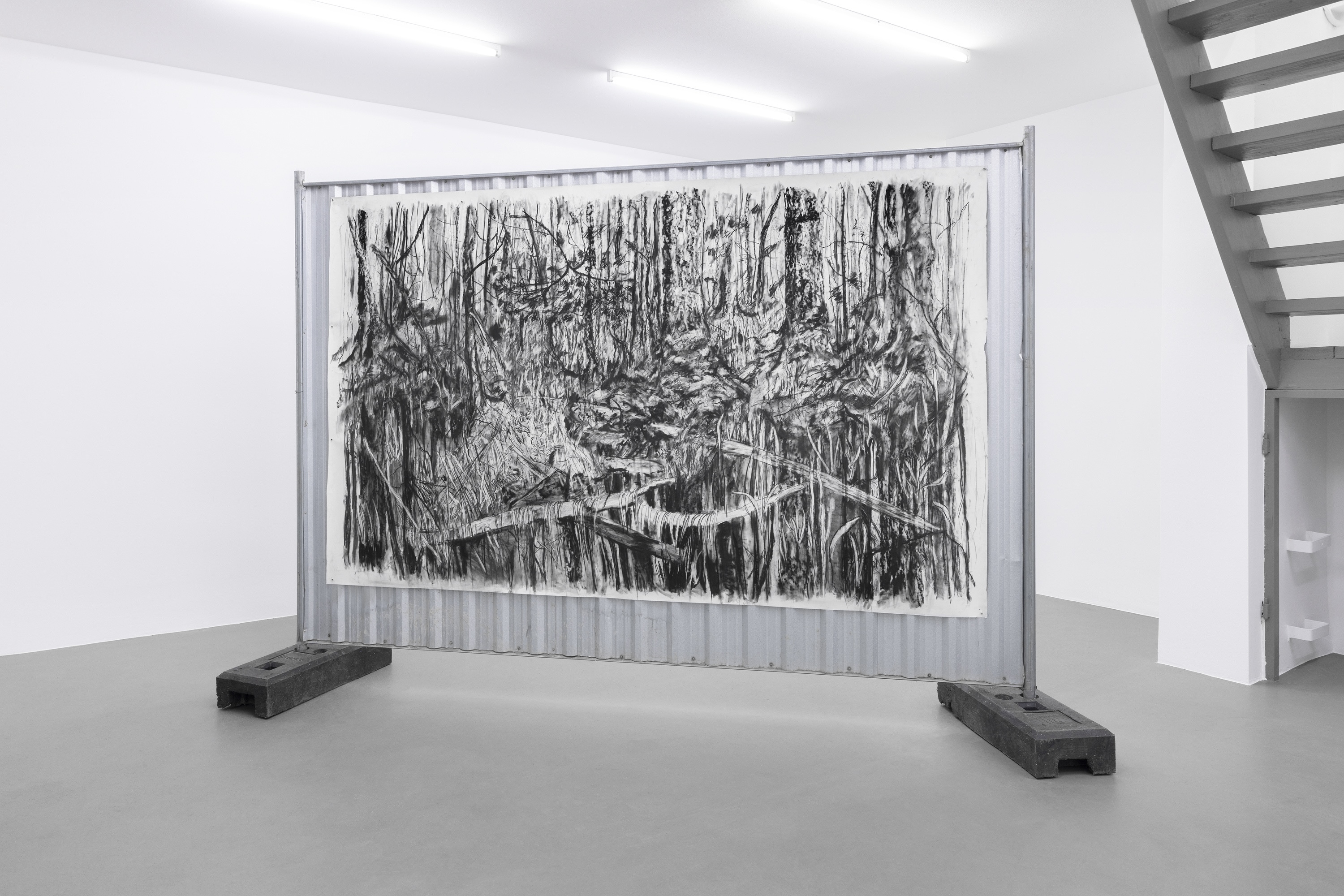 Kinga Kiełczyńska, Białowieża Chapter 3, Installation view, EXILE Vienna, 2024