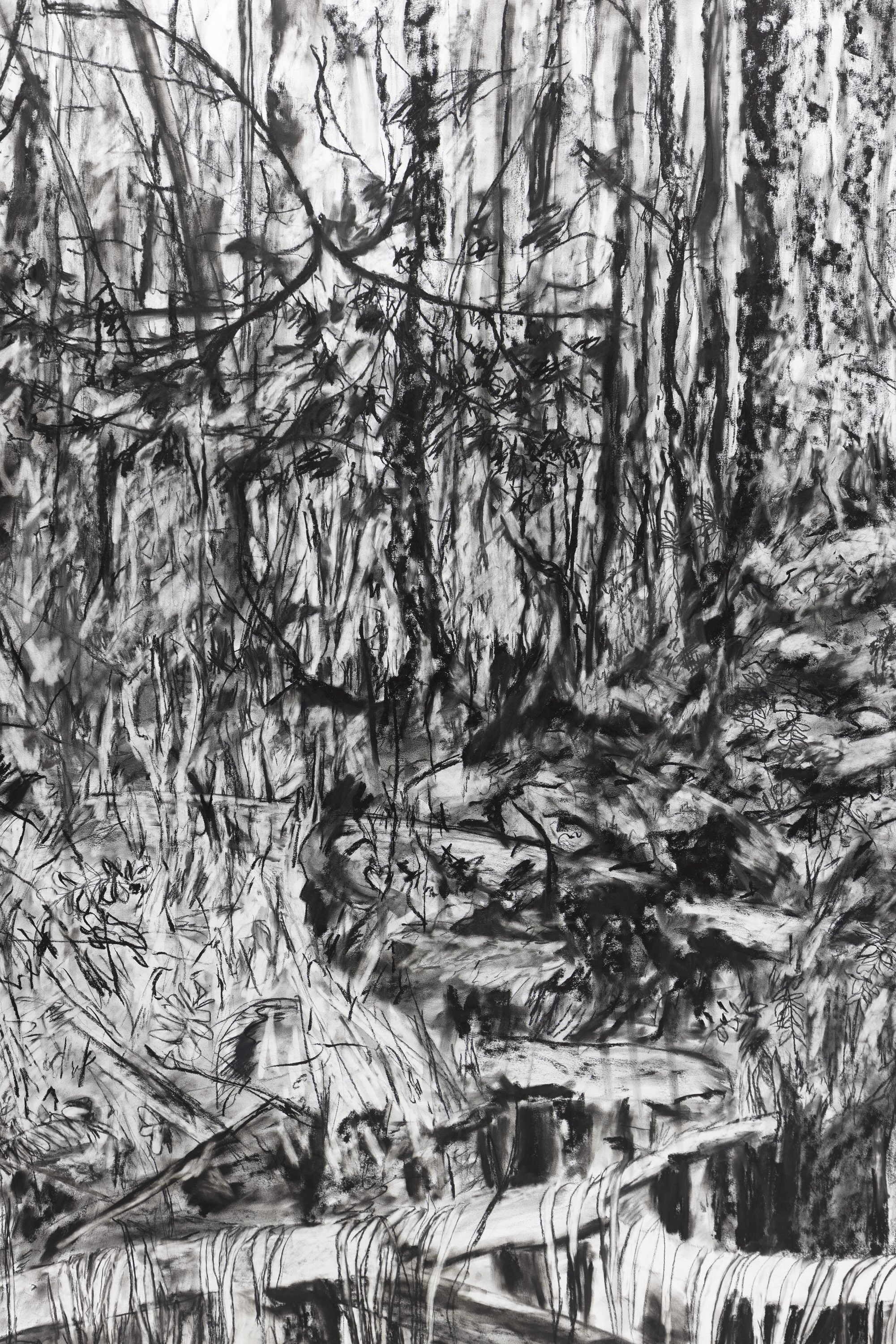 Kinga Kiełczyńska, Swamp (after Wajrak) (detail), 2019/2024, charcoal on paper, 150 x 250 cm