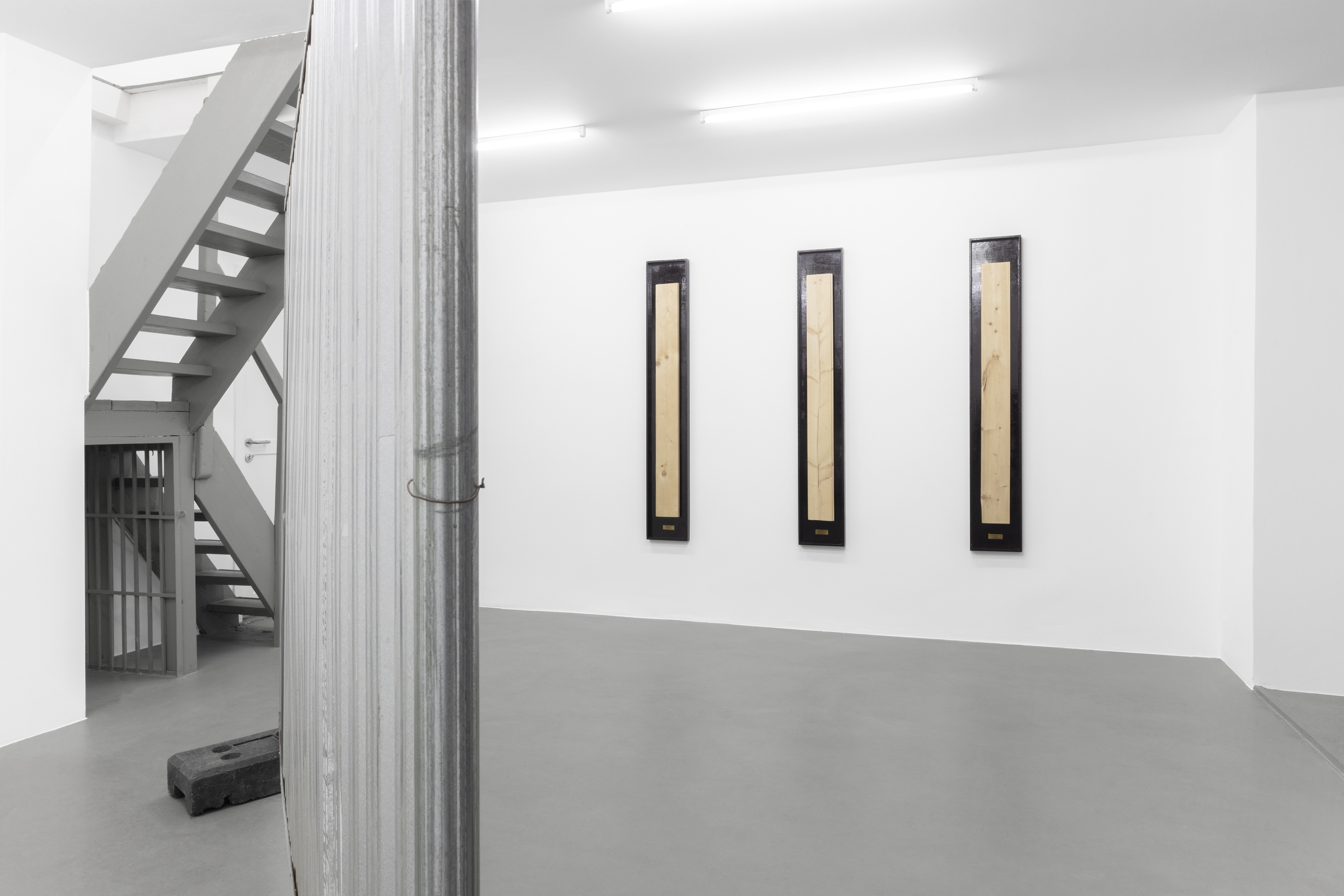 Kinga Kiełczyńska, Białowieża Chapter 3, Installation view, EXILE Vienna, 2024