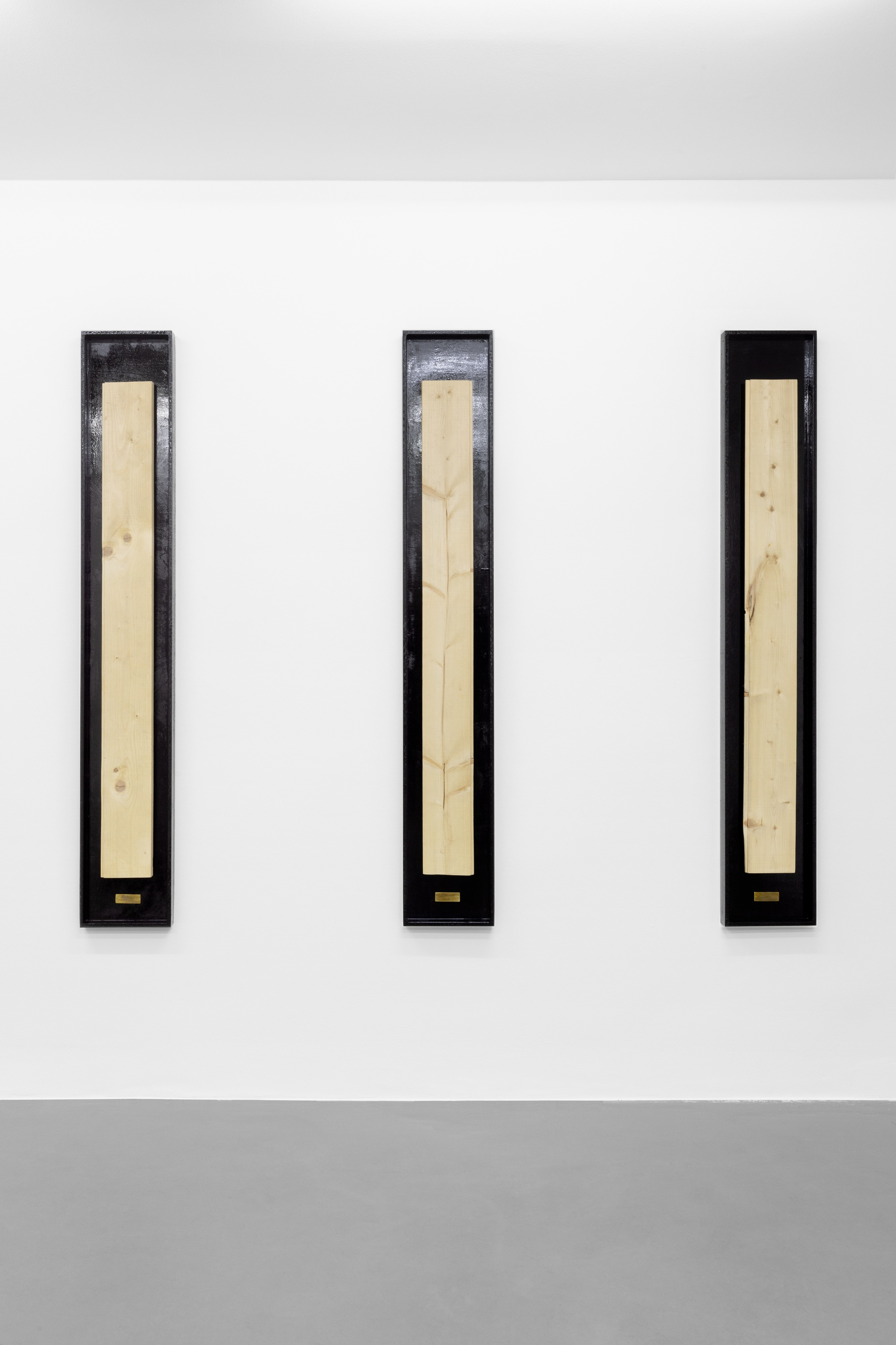 Kinga Kiełczyńska, Understory 02-04, 2016/2024, spruce wood bitten by bark beetles, plywood, petroleum compound, copper, 167 x 26 x 5 cm