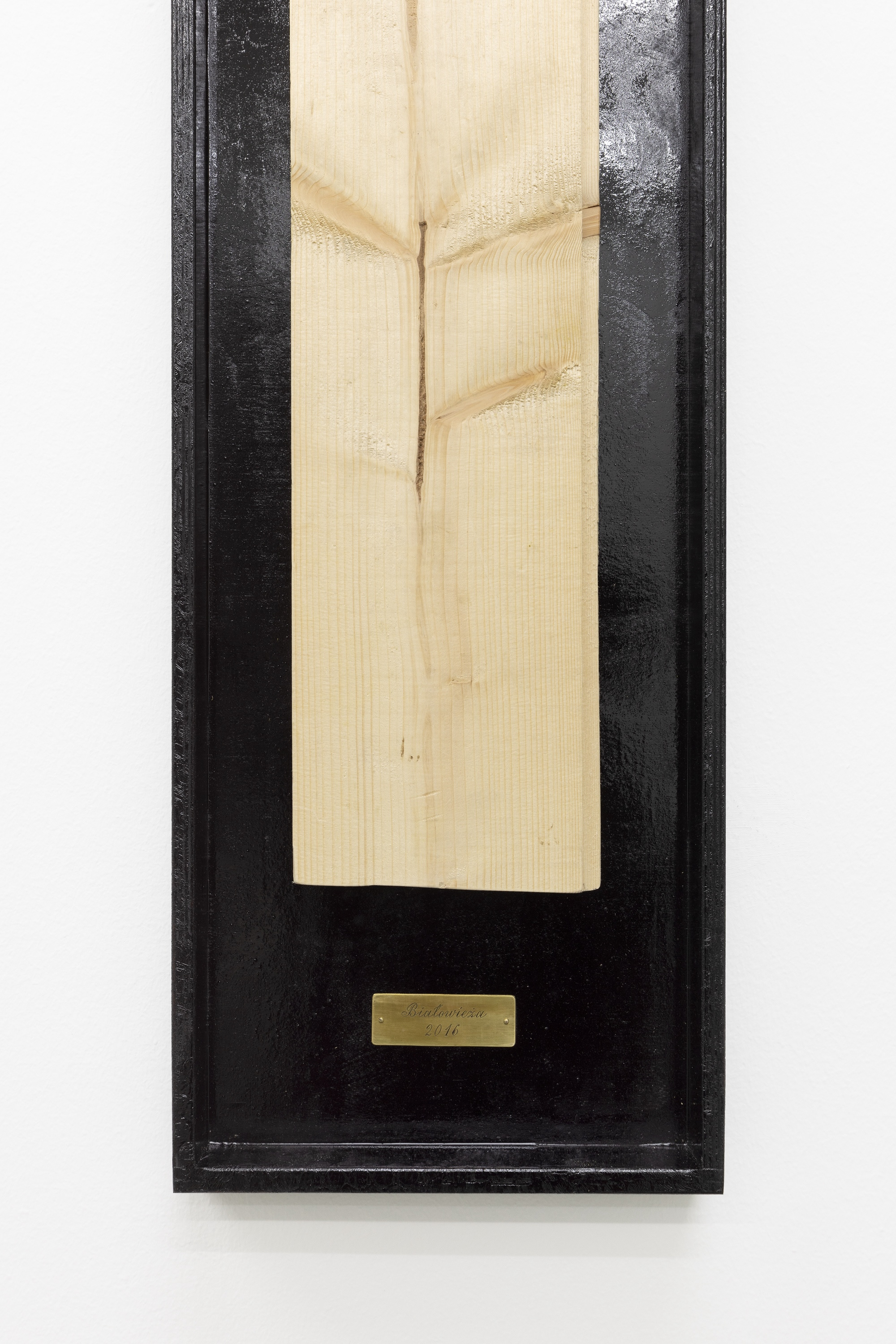 Kinga Kiełczyńska, Understory 03 (detail), 2016/2024, spruce wood bitten by bark beetles, plywood, petroleum compound, copper, 167 x 26 x 5 cm 