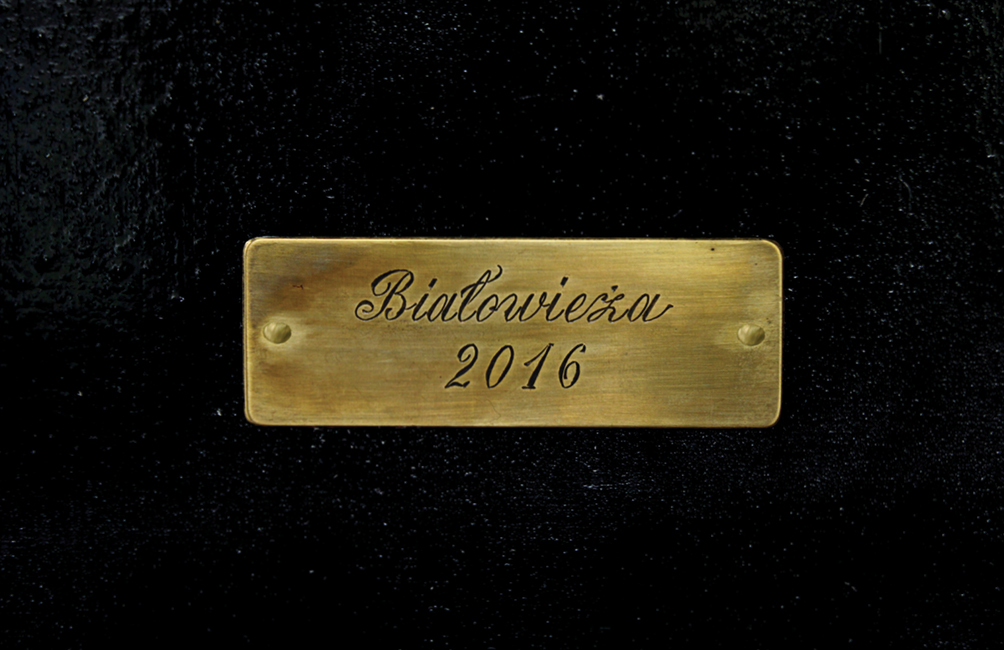 Kinga Kiełczyńska, Understory 02 (detail), 2016/2024, spruce wood bitten by bark beetles, plywood, petroleum compound, copper, 167 x 26 x 5 cm