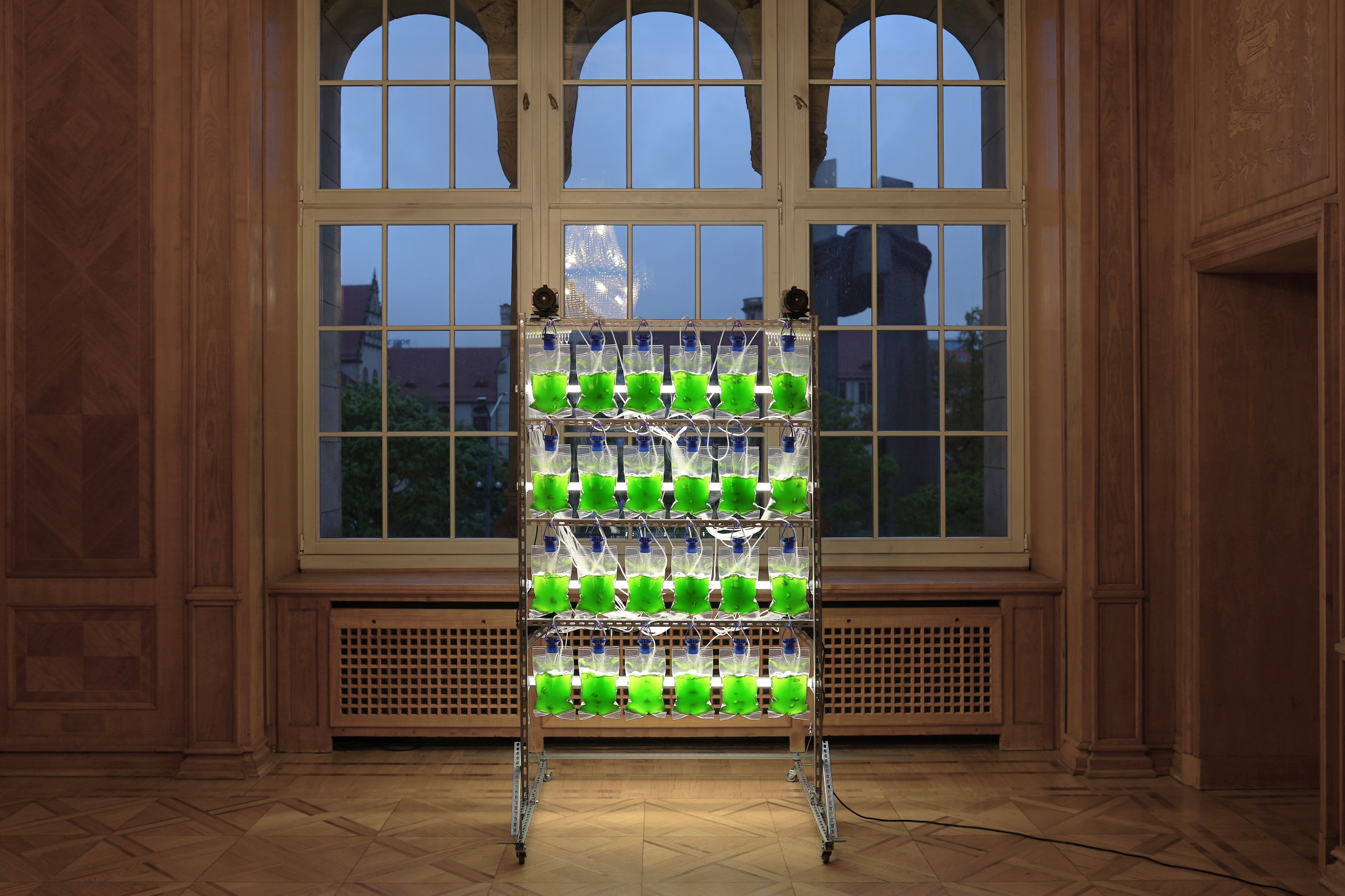 Marek Wodzisławski, biovitrail - haematococcus pluvialis, gravity-controlled enteral nutrition set, 2024