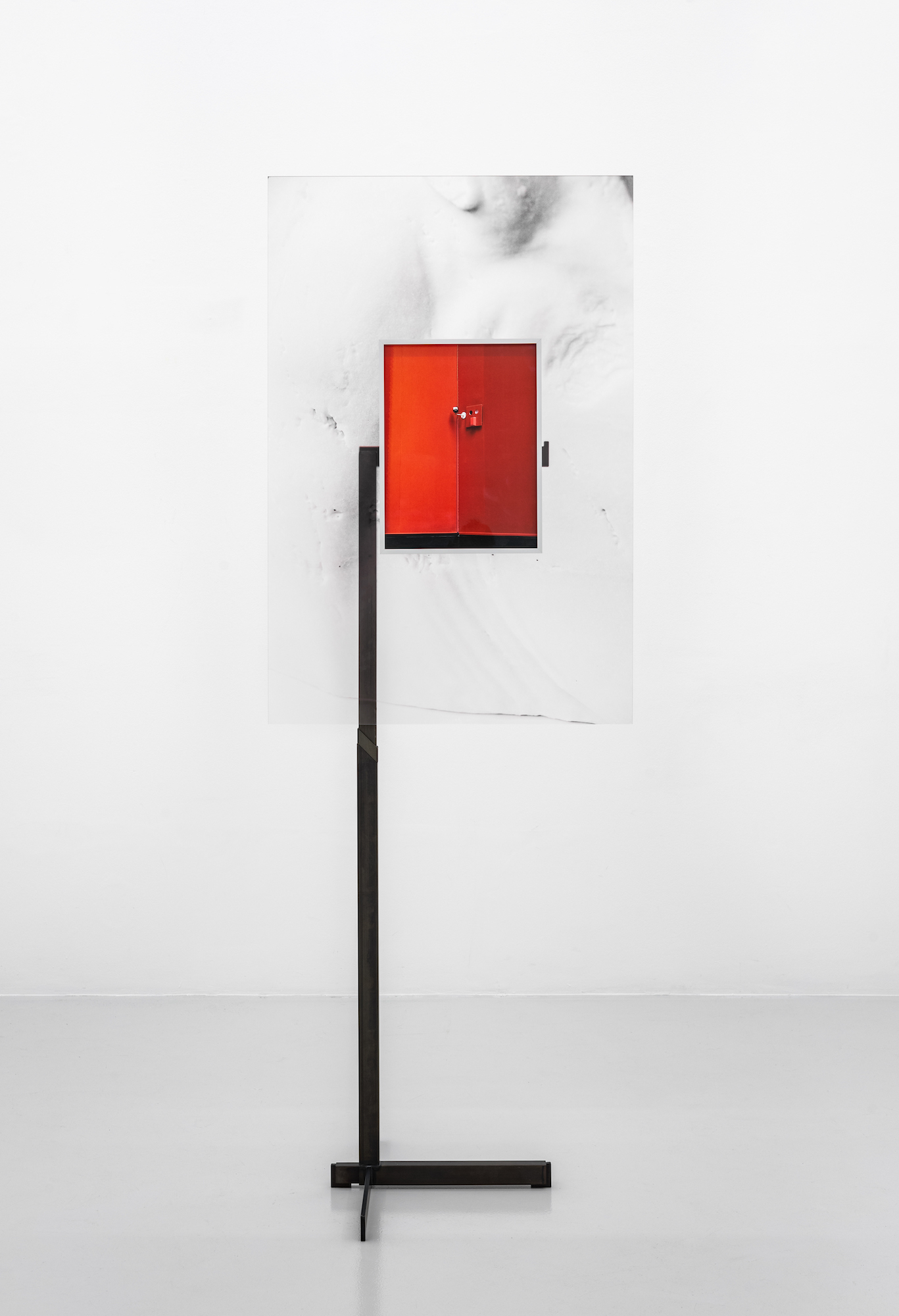 Laura Schawelka, Stand (Kunsthistorisches Museum Wien / Marble Copy Selene Horse Freud Museum London), 2024, Coat stand, plexiglas, metal, Archival Inkjet Print, framed, 197 x 71 x 50 cm, Unique
