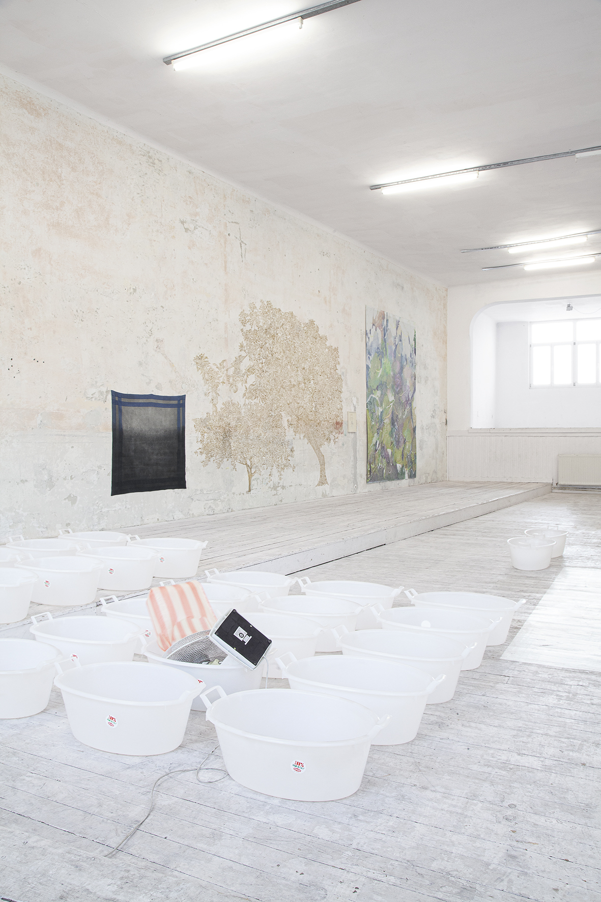 installation view