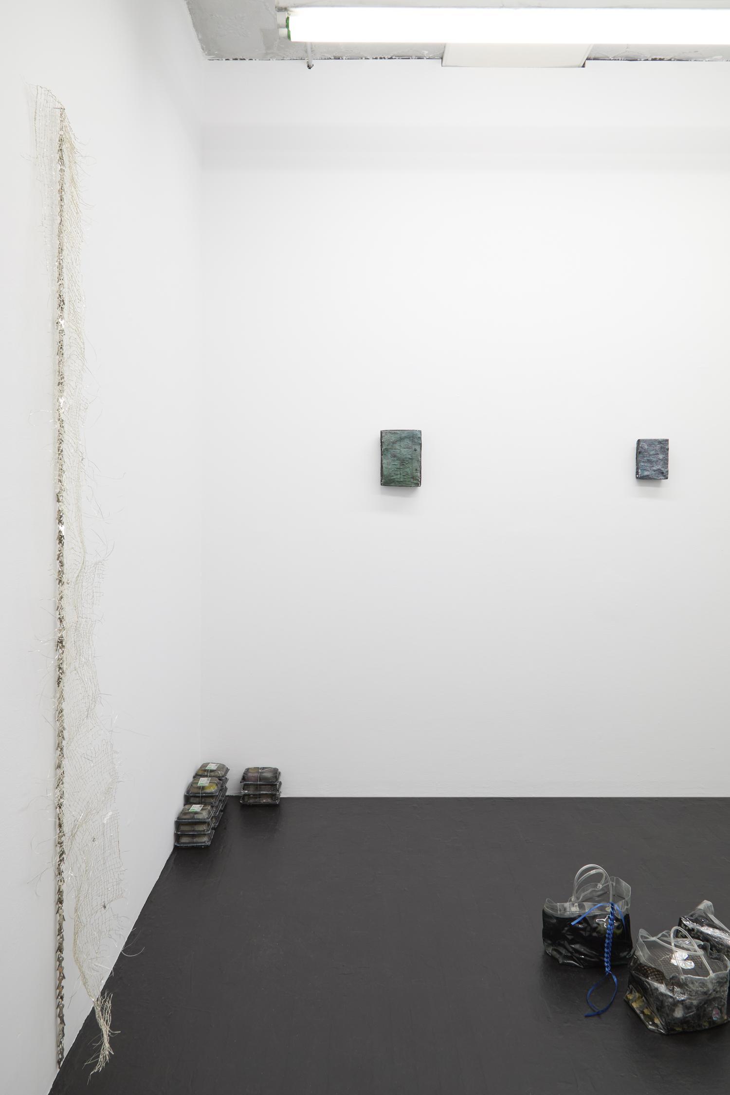 Kaeru, installation view