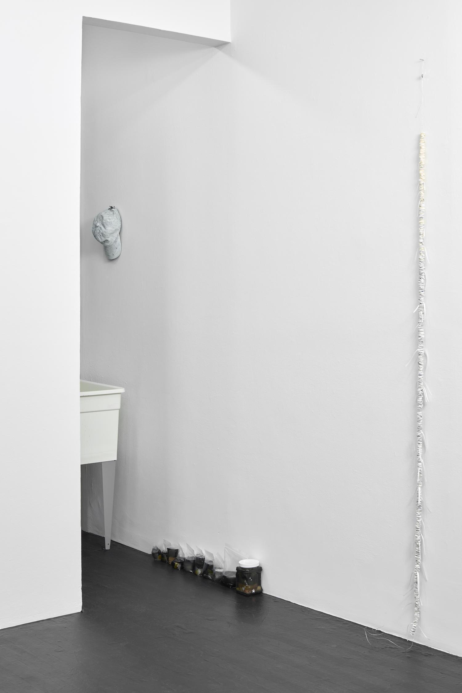 Kaeru, installation view