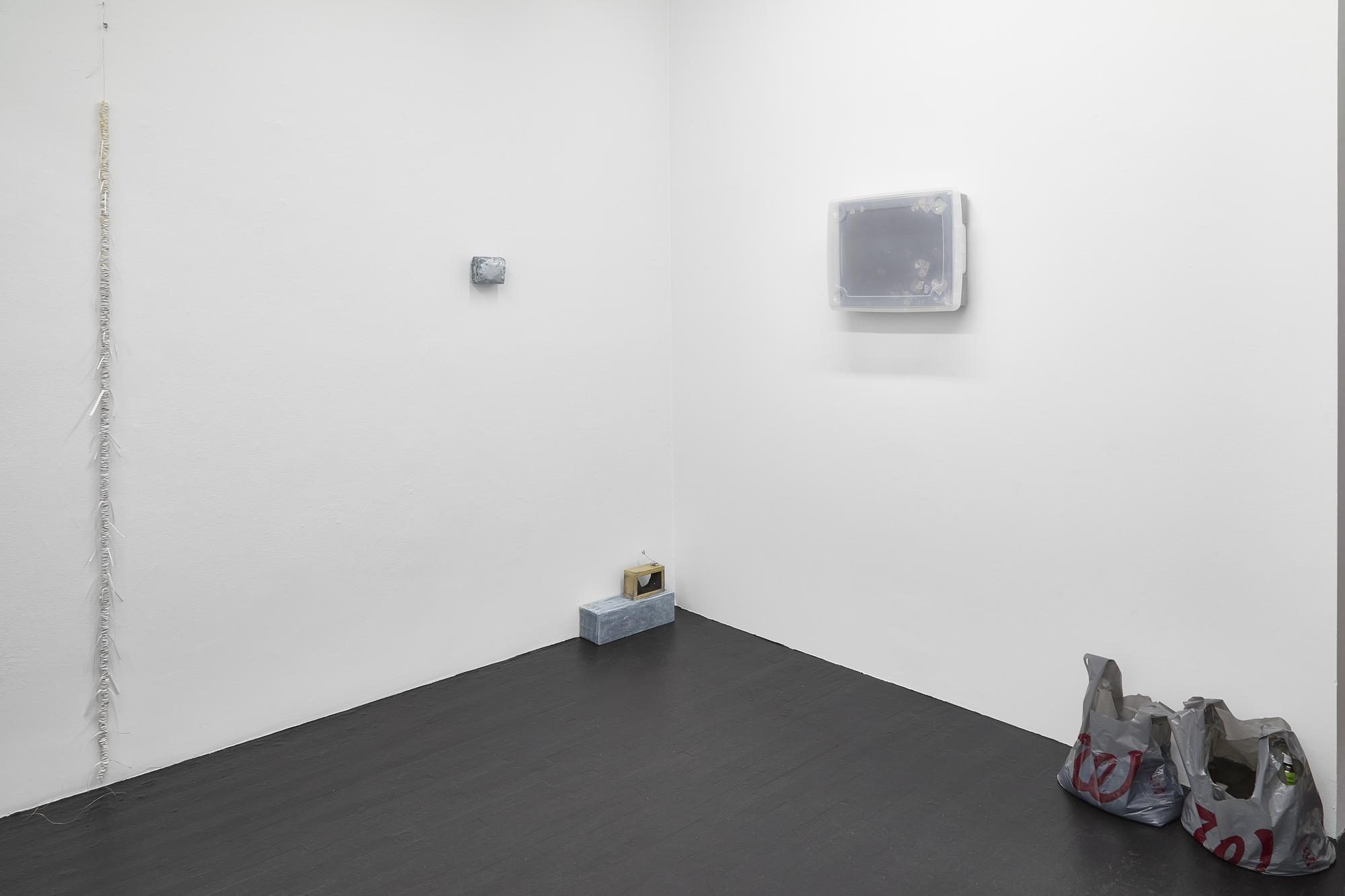 Kaeru, installation view