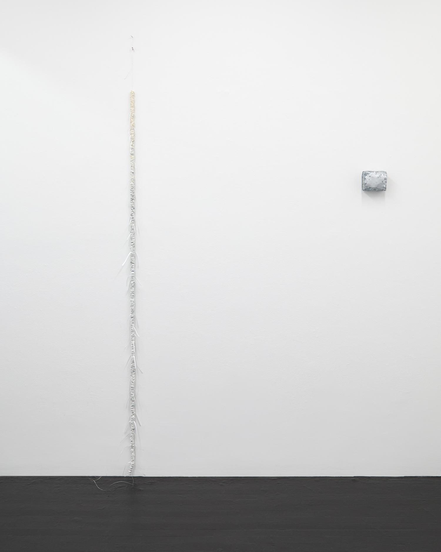 Kaeru, installation view
