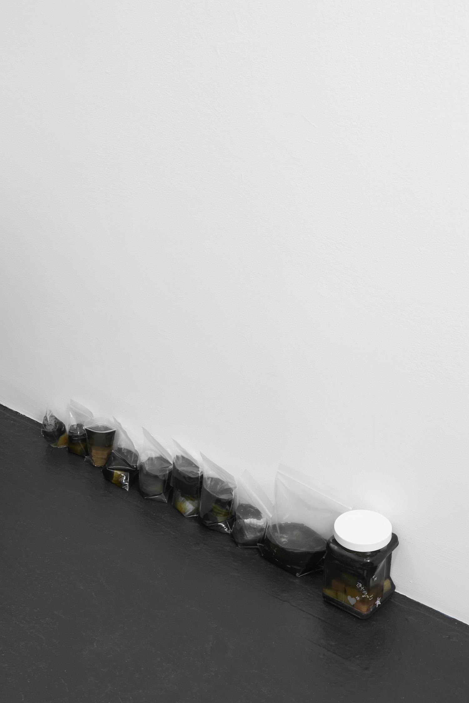 Kaeru, installation view