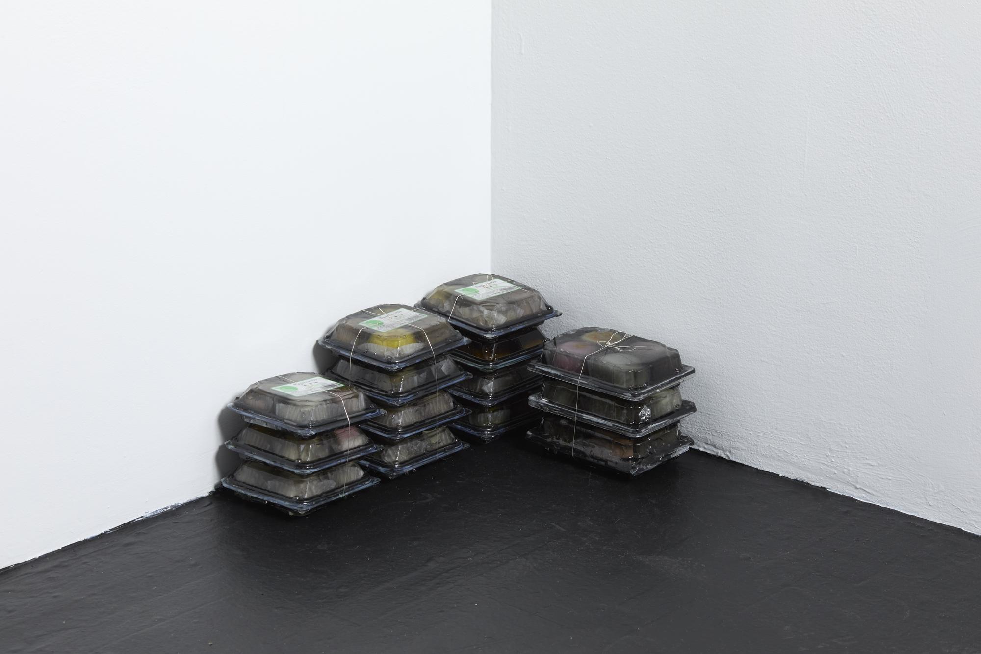 Kaeru, installation view