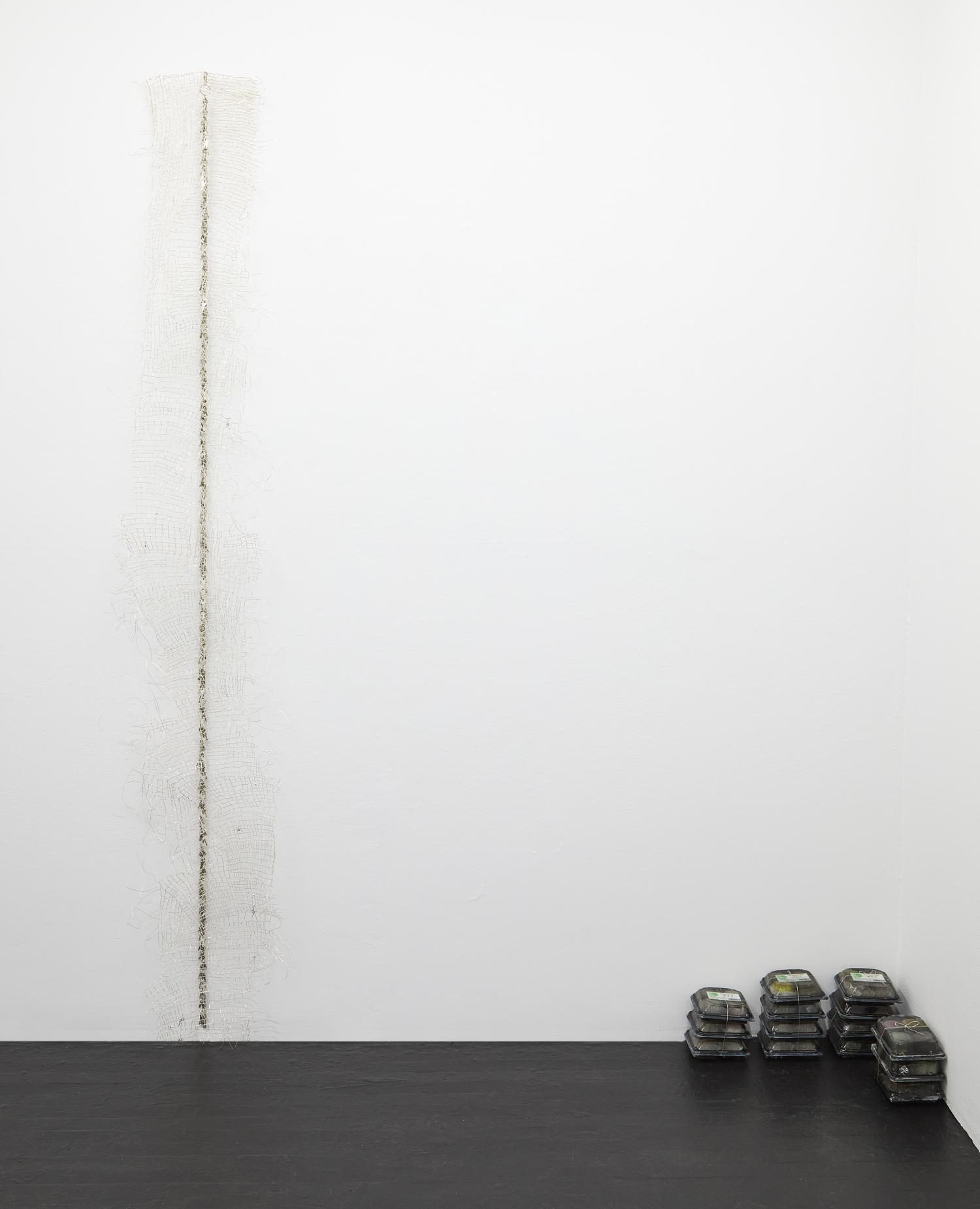 Kaeru, installation view