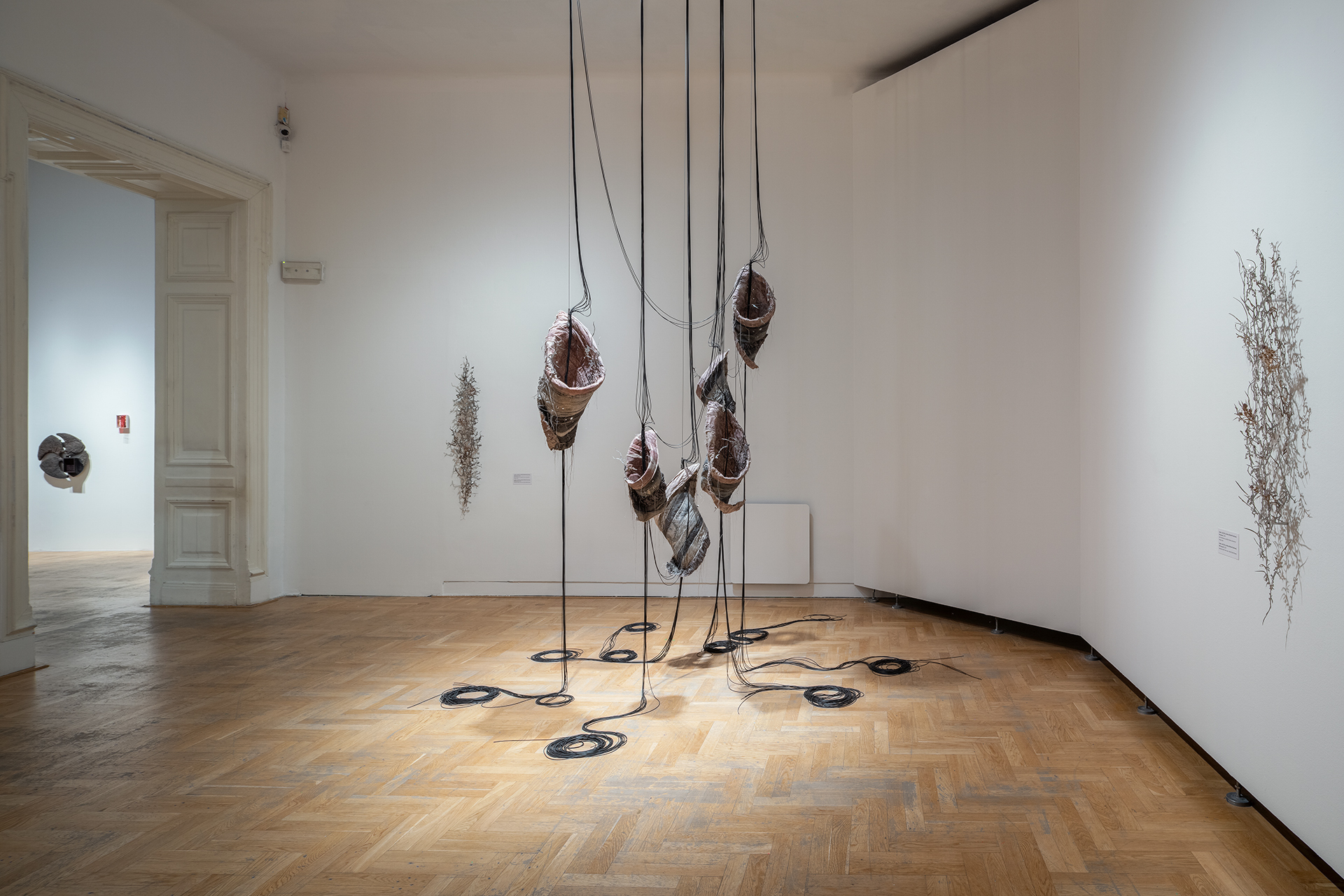 Inside Job (Ula LuciĆska, MichaĆ Knychaus), Behind the mouths gate something is stirring, is flickering, 2024; Inside Job (Ula LuciĆska, MichaĆ Knychaus), Will spread (I-II), 2024; Ania BÄ
k, Dirty Seeker, 2022