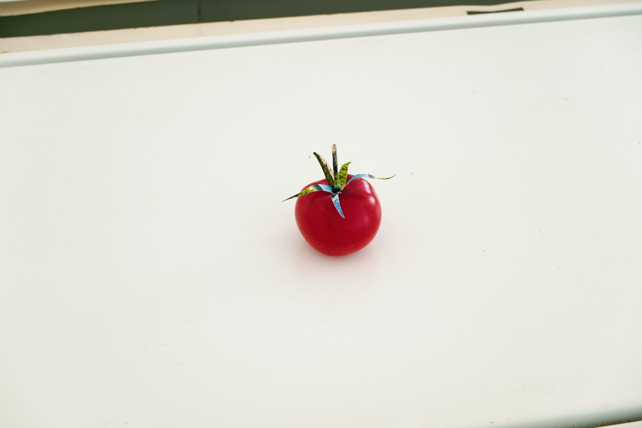 Jáno Möckel, Das Leben im Tal, Oberösterreichischer Kunstverein, Linz, 2024, exhibition view