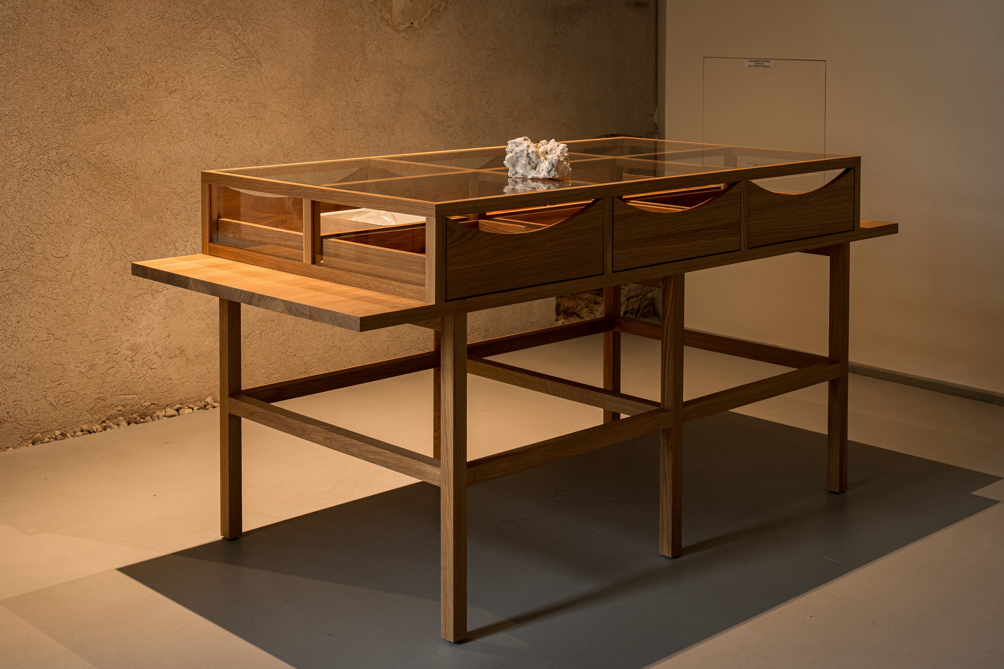 Domas Noreika. The Conservator’s Imagination Desk, 2024. Various natural materials, oak wood, glass. Dimensions variable. Photographer: Andrej Vasilenko