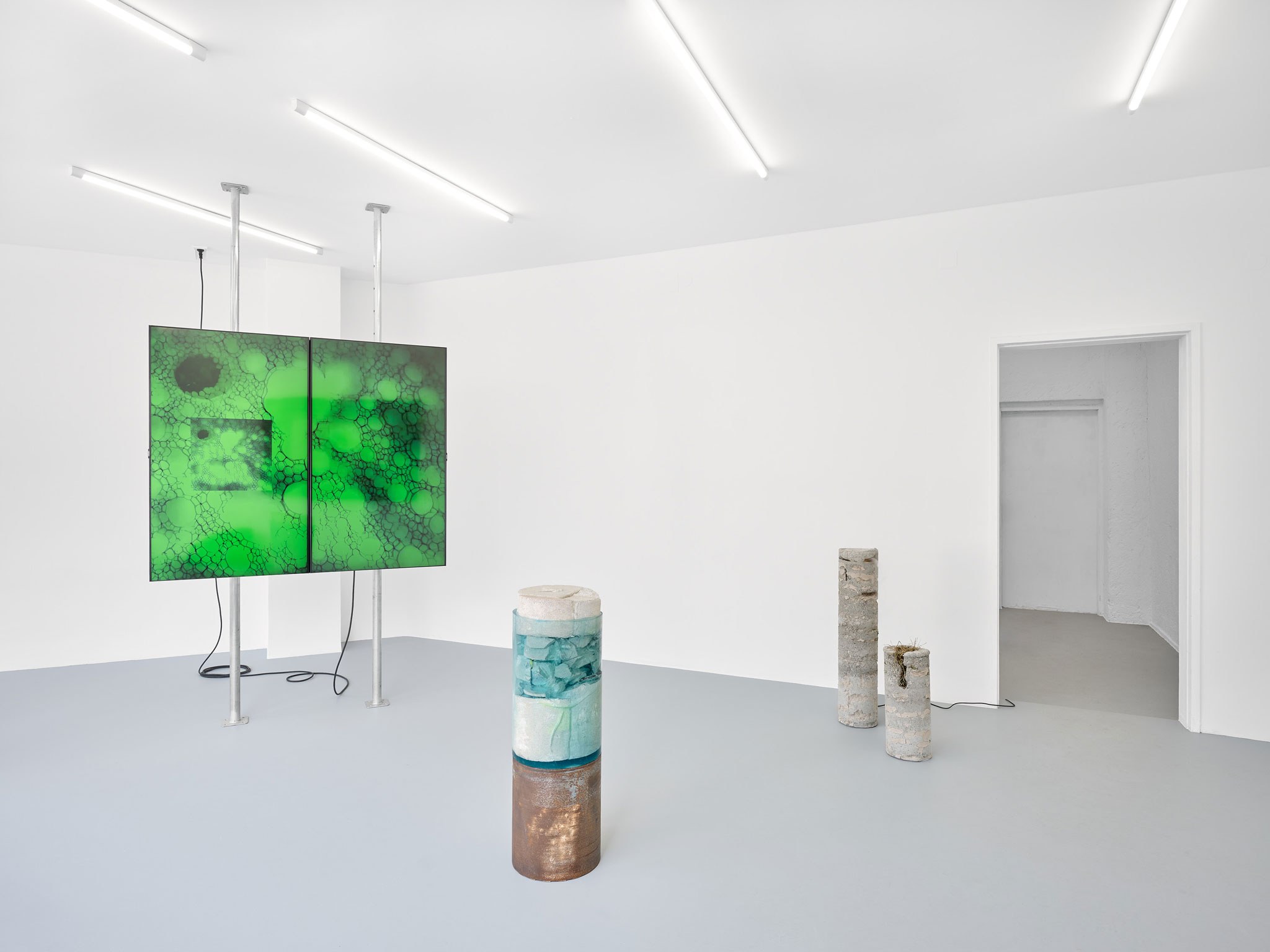 Installation view, SOFT LIQUIDS, HARD SHELLS, Kunstraum Konrad, 2024 Photo: Tobias Ehrhardt