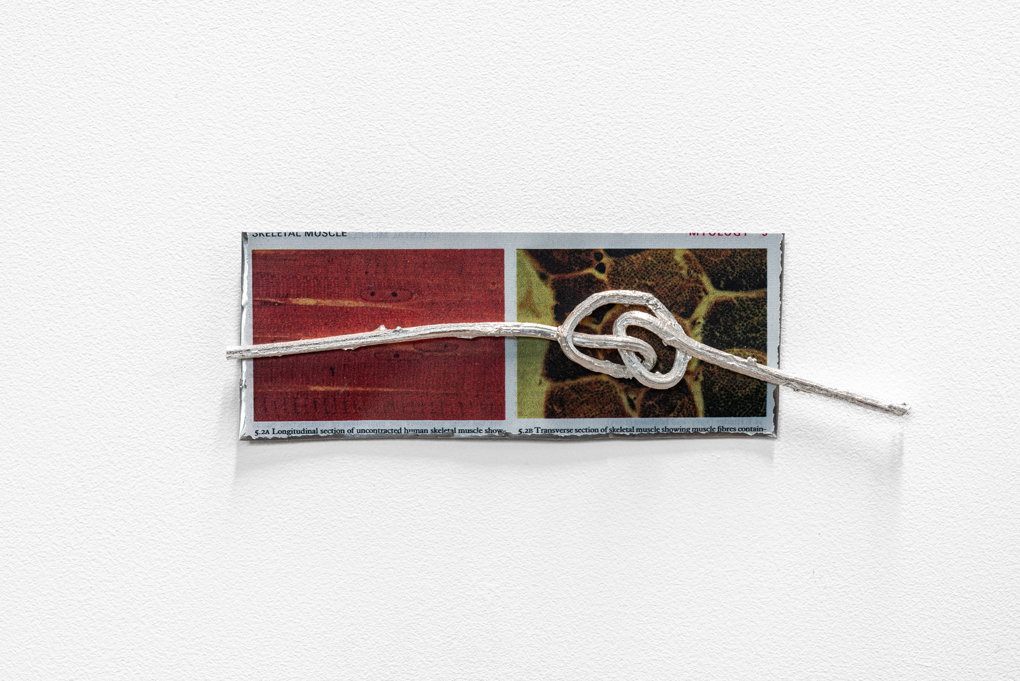 Hamish Pearch, Glue, 2024, UV printed aluminium, silver plated bronze, fixings, magnets, 20 x 6 x 3 cm, unique 