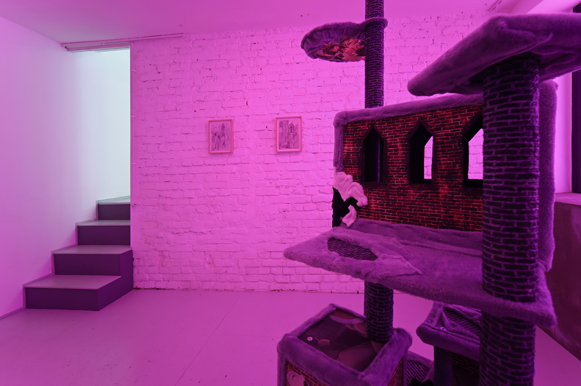 exhibition view