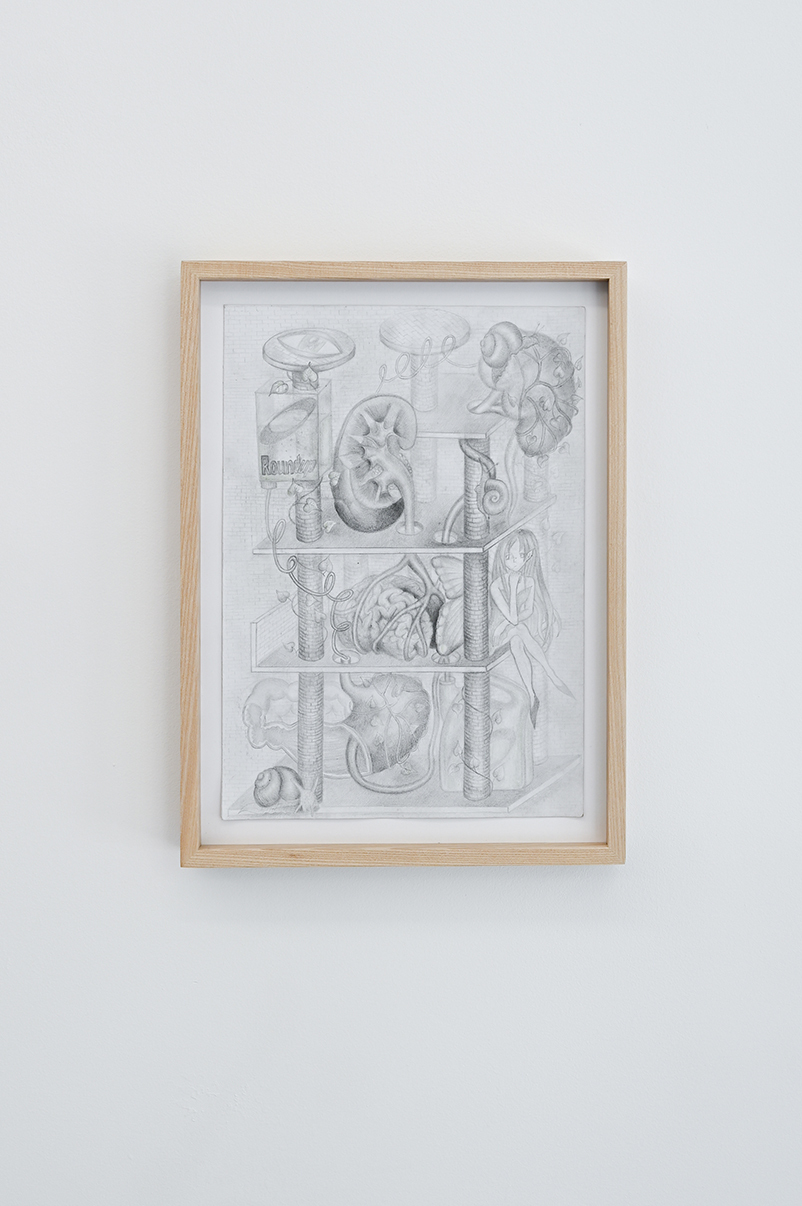 Roundup-ready, 2023, pencil and crayon on paper, A4