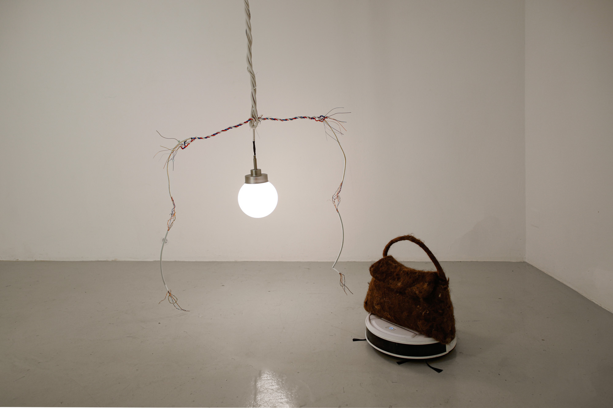 Exhibition view, ClĂ©ment Faydit & Rozenn Voyer, âModern Dogâ, In extenso, Clermont-Ferrand, France, 2024. Photo: Bruno Silva.