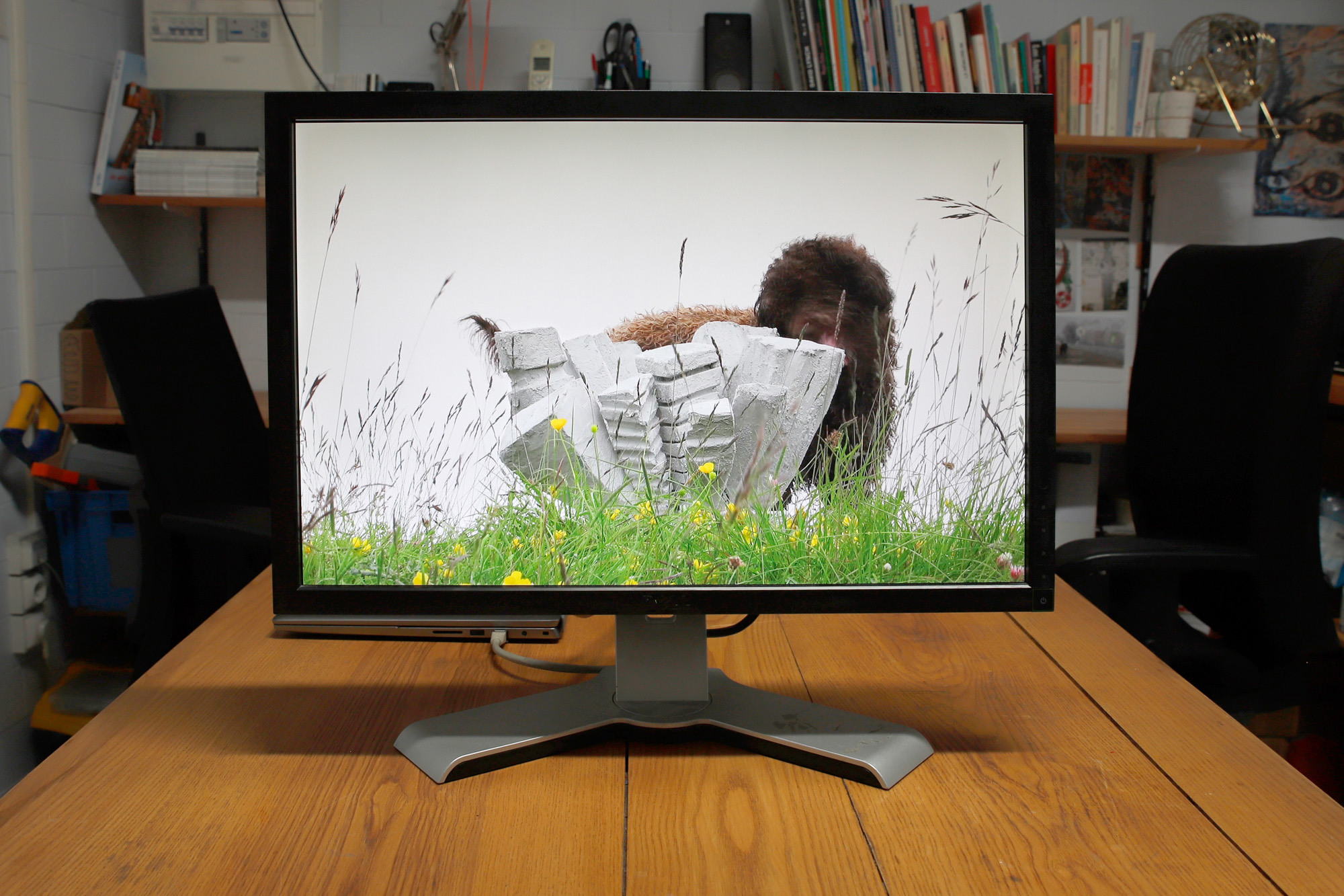 Clément Faydit & Rozenn Voyer, LÚche-vitrine (le Bouquet), video, 2024. Photo: Bruno Silva.