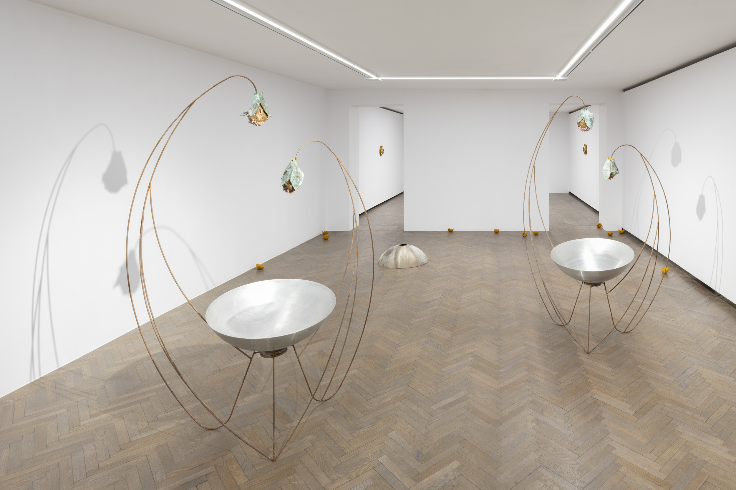 "The Whispering Hole", exhibition view, Arsenal Gallery in Białystok
