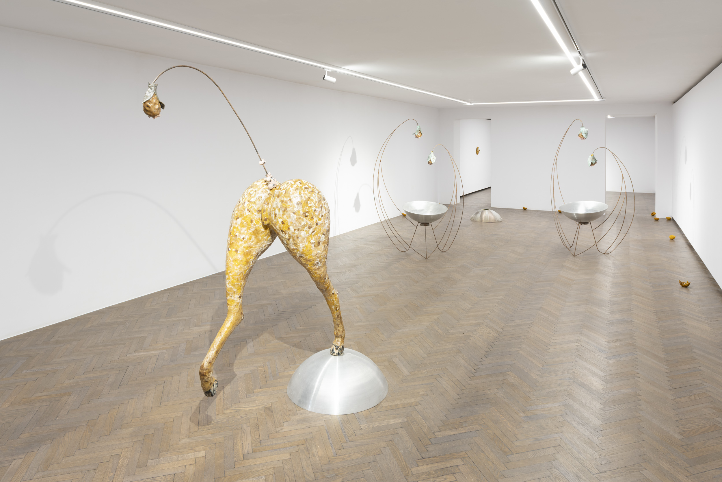 "The Whispering Hole", exhibition view, Arsenal Gallery in Białystok