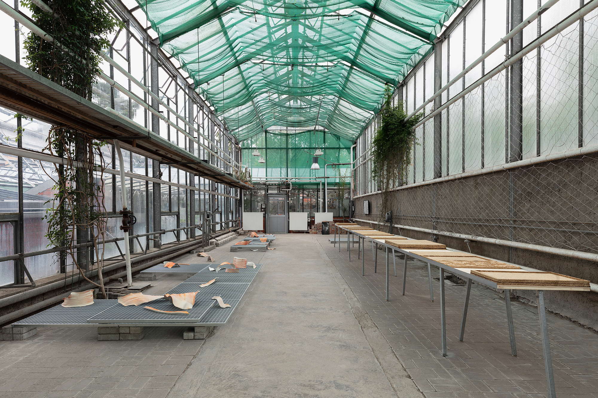 Exhibition view: Am Ryck
