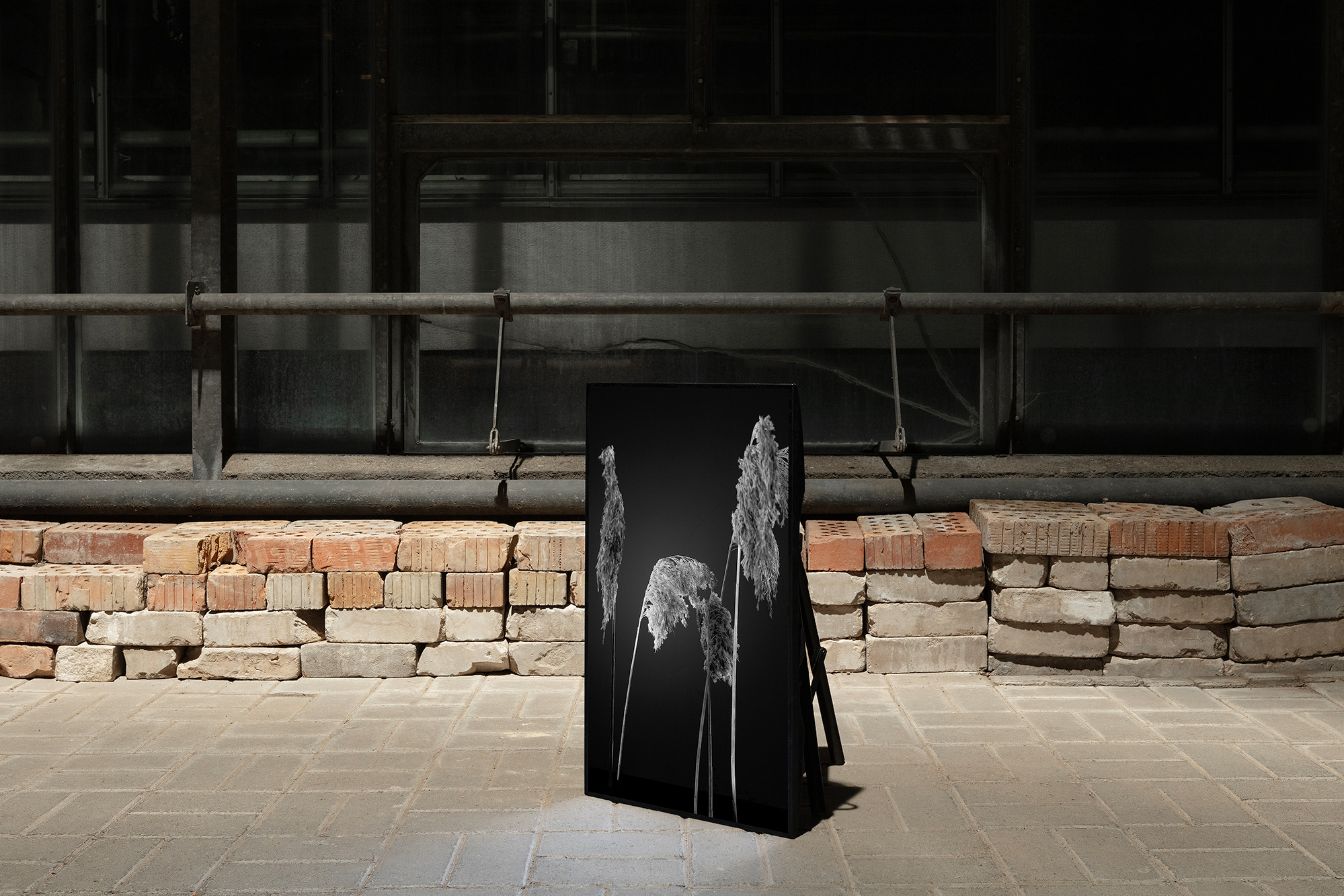 Unter den Wiesen (Detail), 2024, video installation with 3 screens