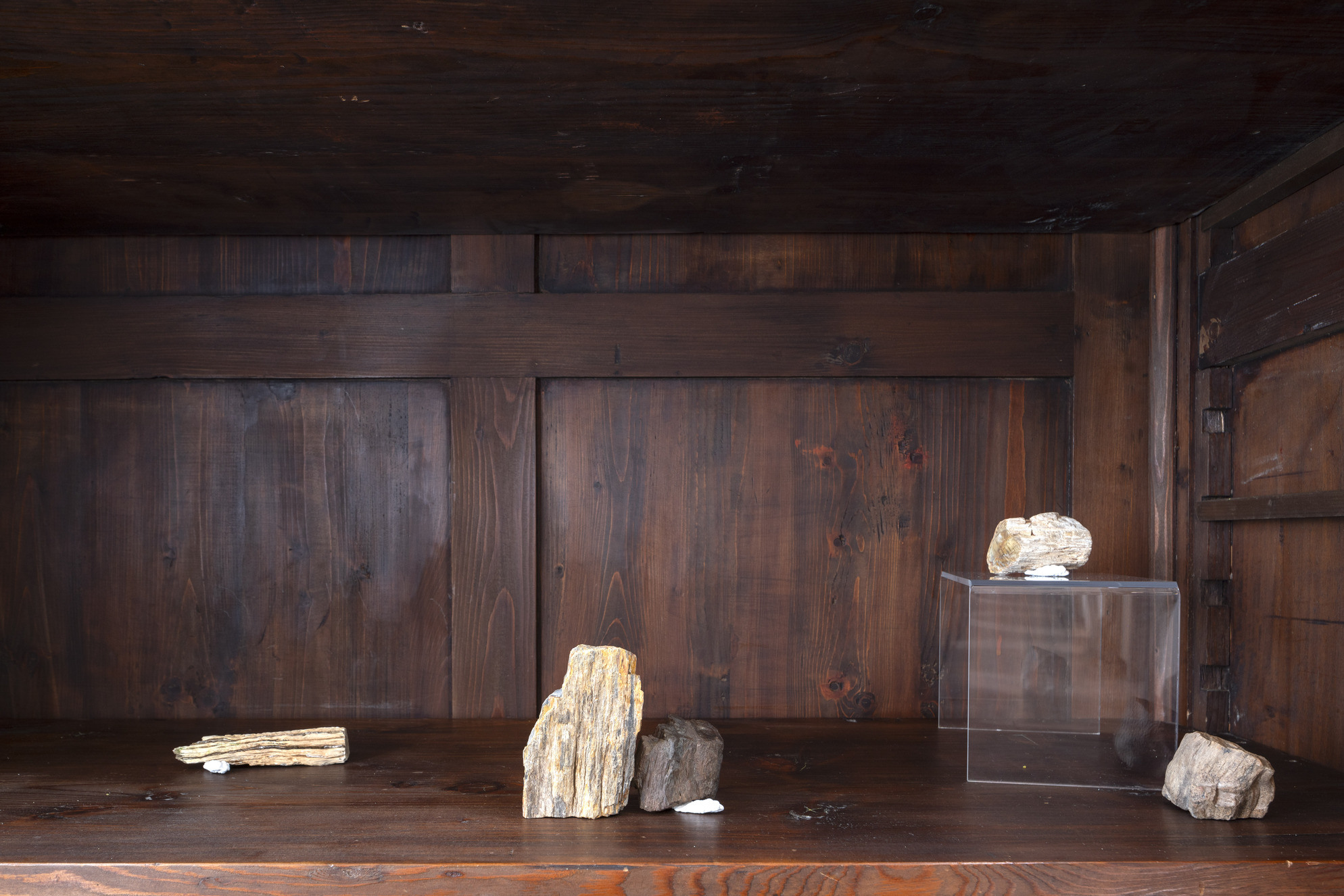 Ona Juciūtė, Replacement and Infiltration, 2024, petrified wood, acrylic resin. Photo: Maurizio Esposito