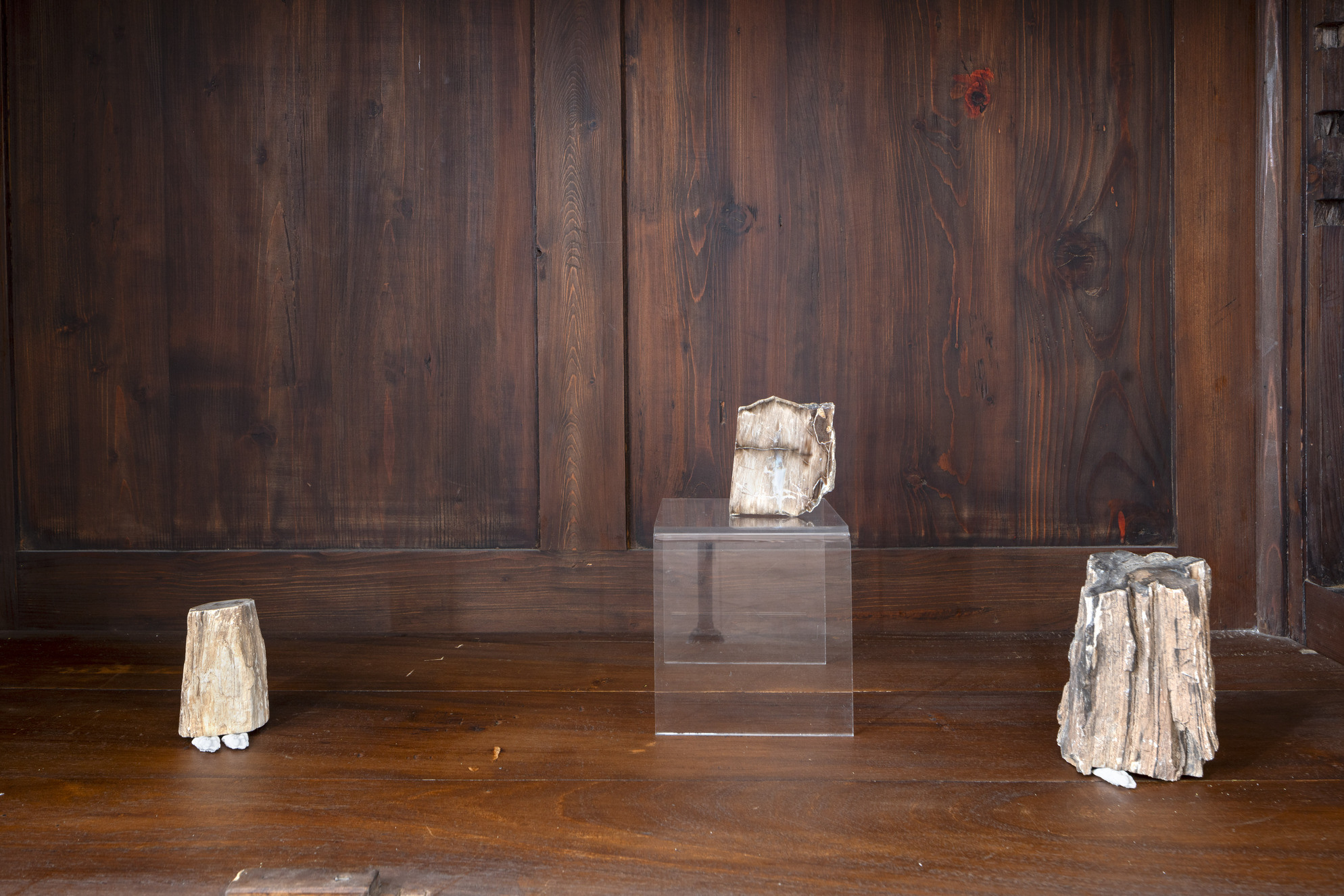 Ona Juciūtė, Replacement and Infiltration, 2024, petrified wood, acrylic resin. Photo: Maurizio Esposito