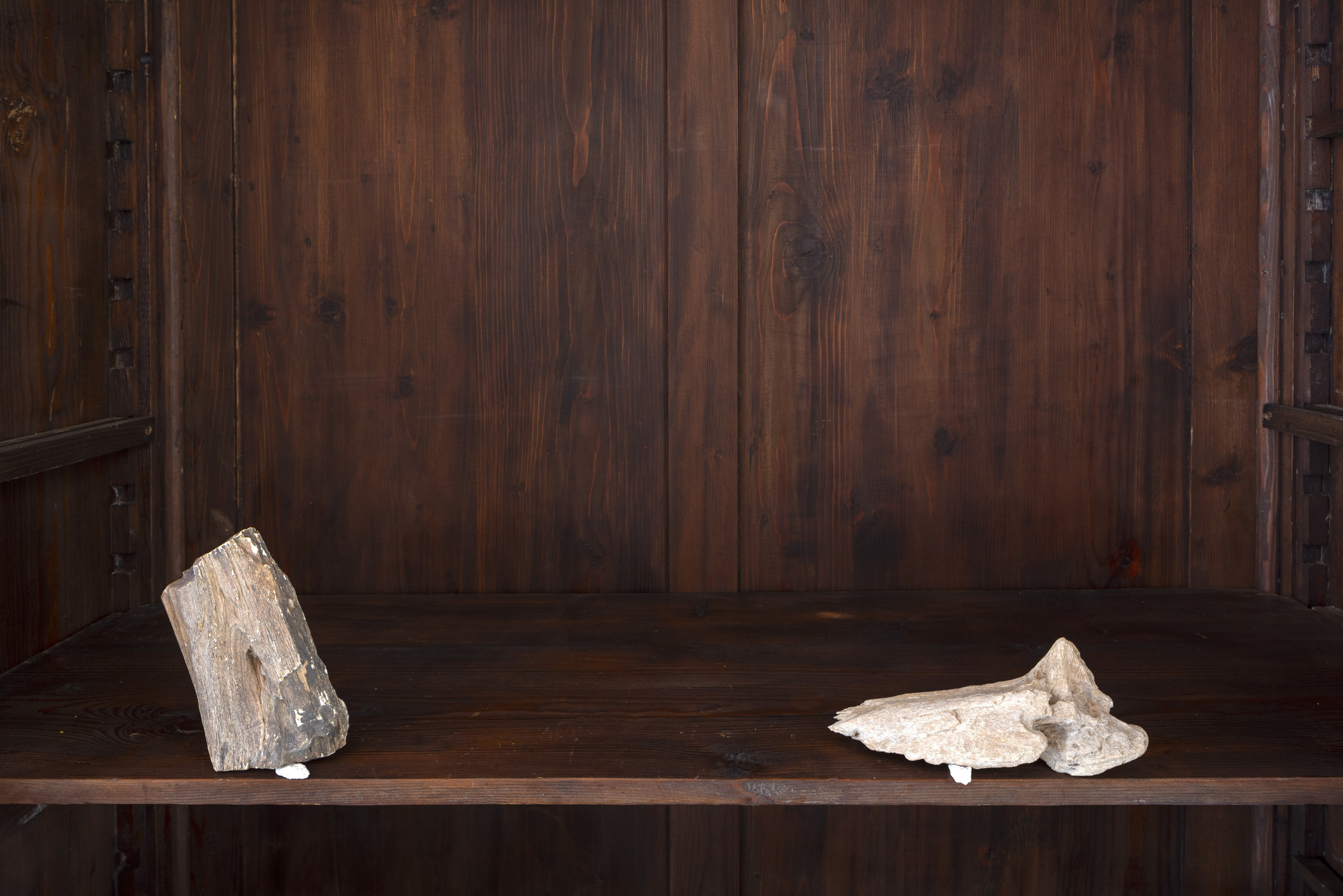 Ona Juciūtė, Replacement and Infiltration, 2024, petrified wood, acrylic resin. Photo: Maurizio Esposito