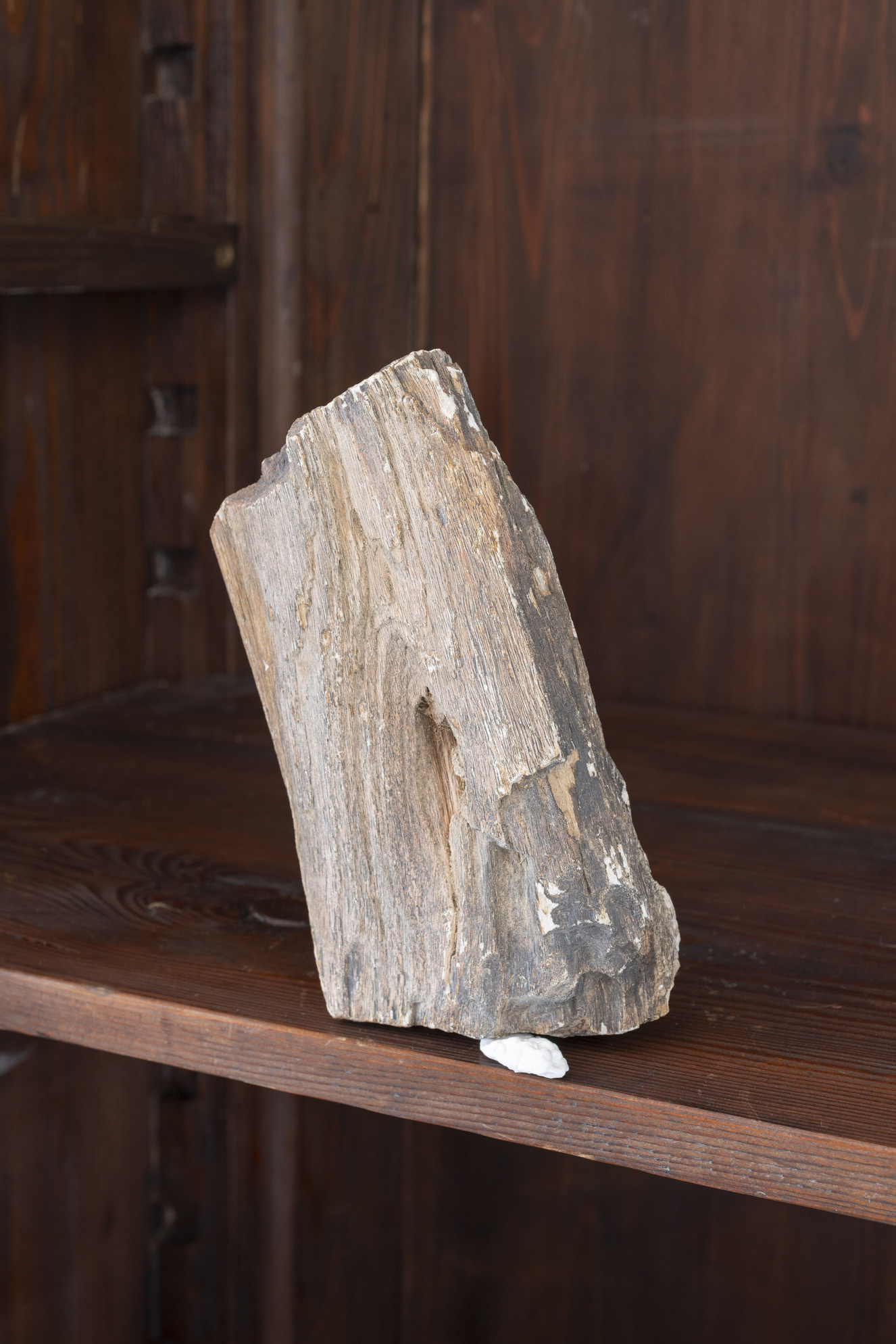 Ona Juciūtė, Replacement and Infiltration, 2024, petrified wood, acrylic resin. Photo: Maurizio Esposito