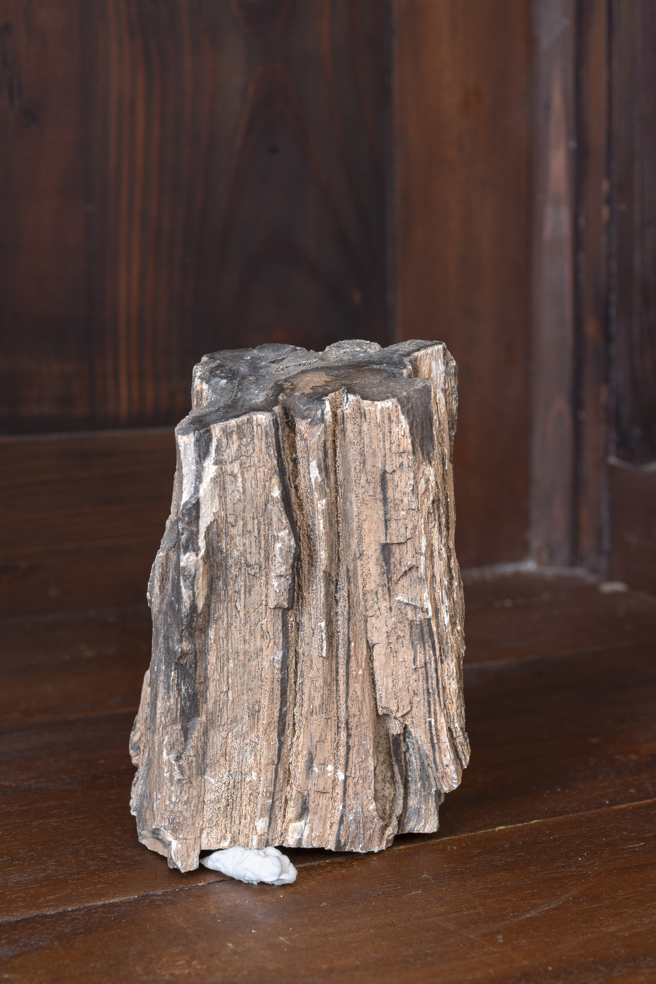 Ona Juciūtė, Replacement and Infiltration, 2024, petrified wood, acrylic resin. Photo: Maurizio Esposito