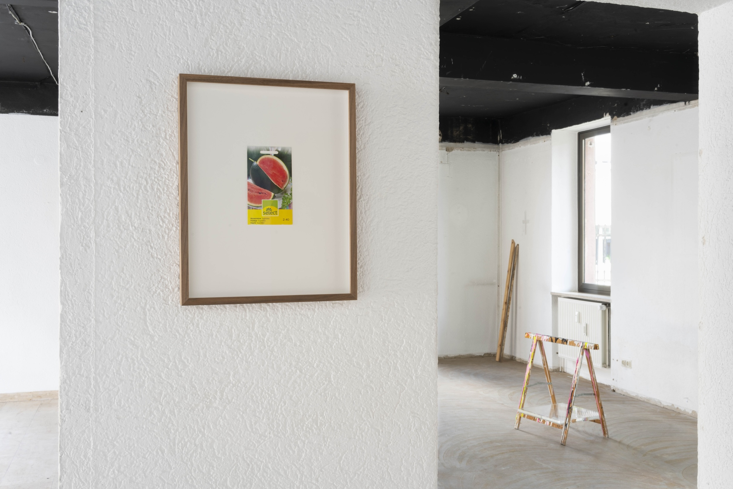 Gina Folly, Select « Sugarbaby », 2023, Tütchen mit Saatgut, gerahmt, 38 x 30 x 3 cm. Courtesy the artist and Fanta-MLN, Milan