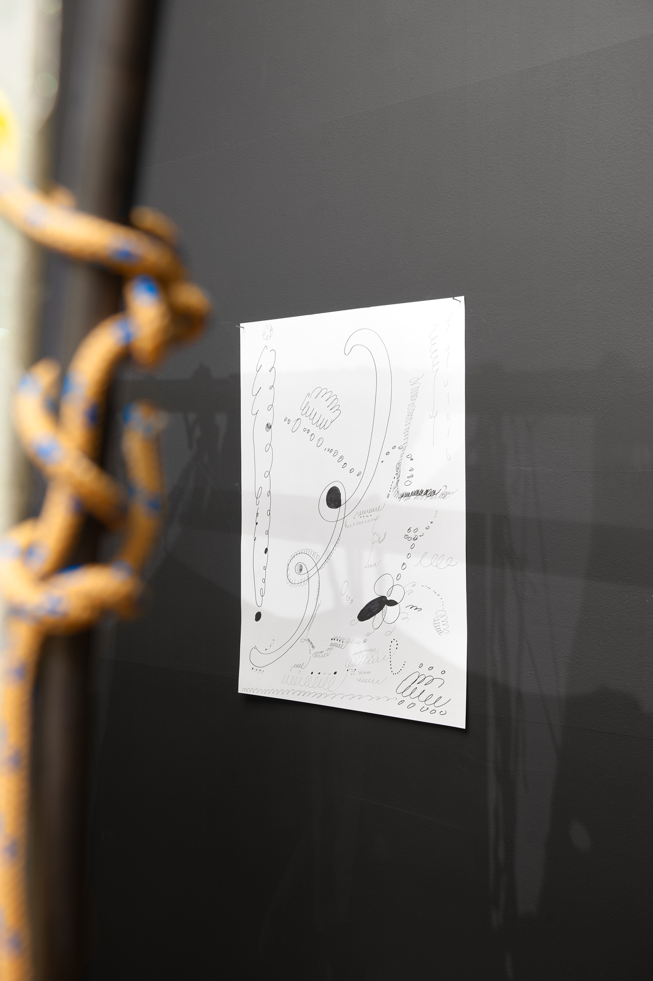 Veronika Čechmánková: Spider’s Thread