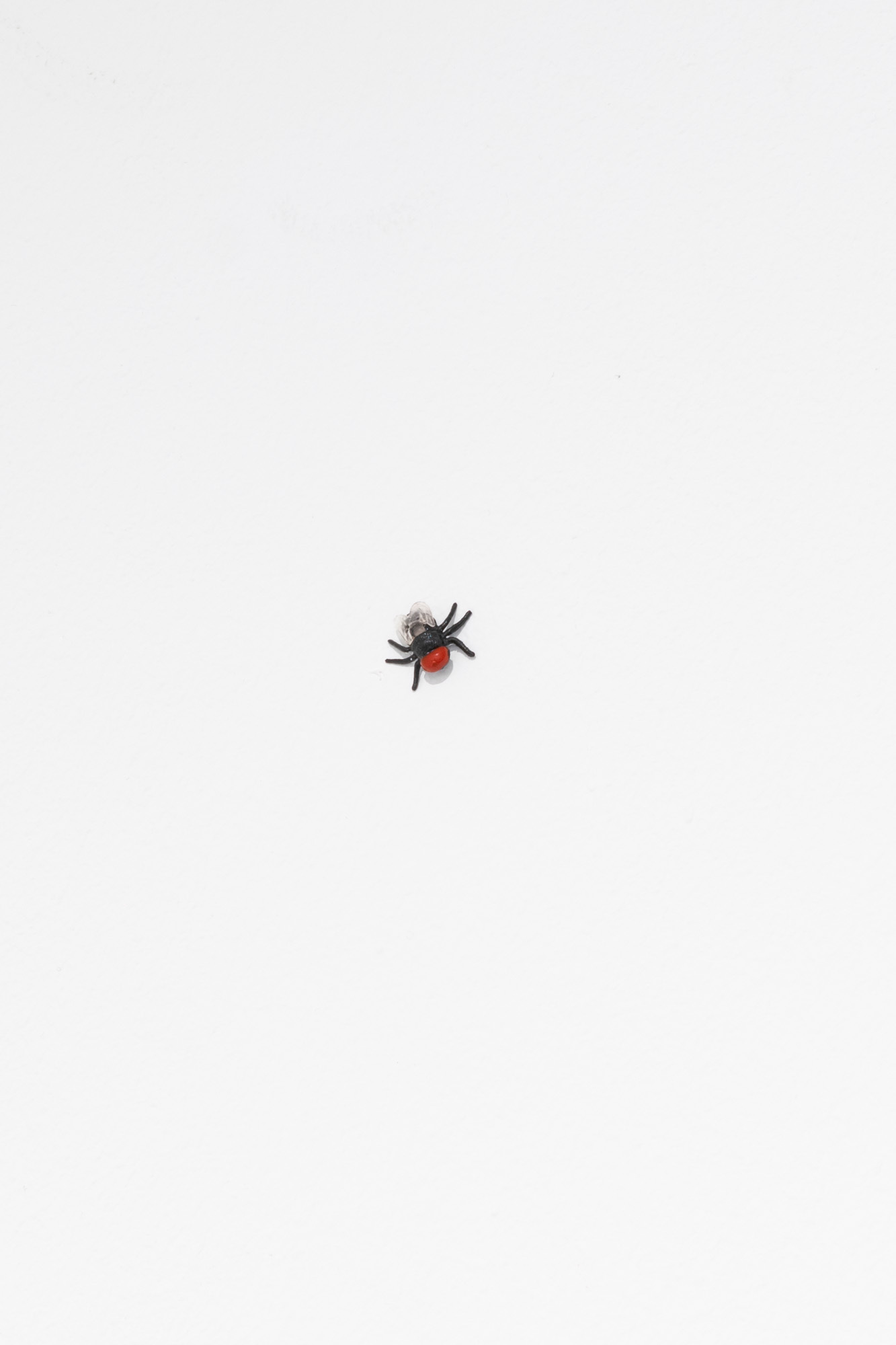 Choking hazard, Hilda Kortei, Manufactured plastic toy fly, 1.6 x 1.6 x 0.5 cm, 2024