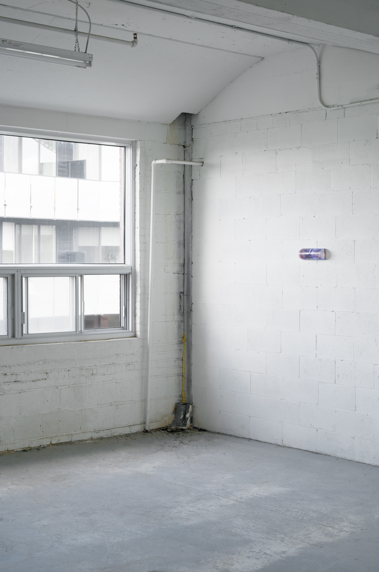 Paula McCLean, "Onlookers", 2024 Inkjet photo, corrugated plastic, magnifying sheet 10 x 4 x 2.25 inches