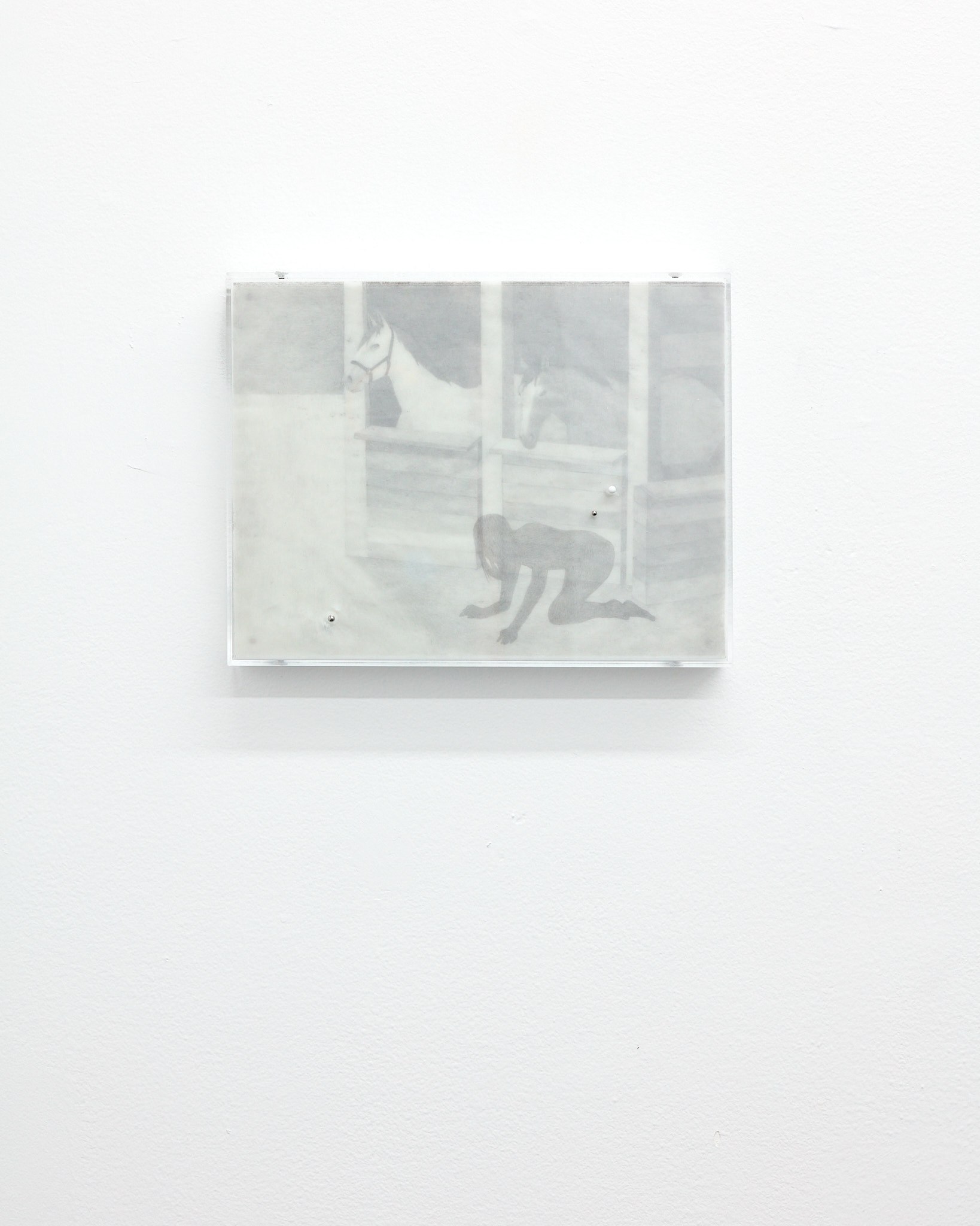 Naomi Hawksley, Two Horses and a Muleâs Shadow Girl, 2024 graphite on vellum, stainless steel 11 x 8.5 x 1.5 in (framed) 27.94 x 21.59 x 3.81 cm (framed)
