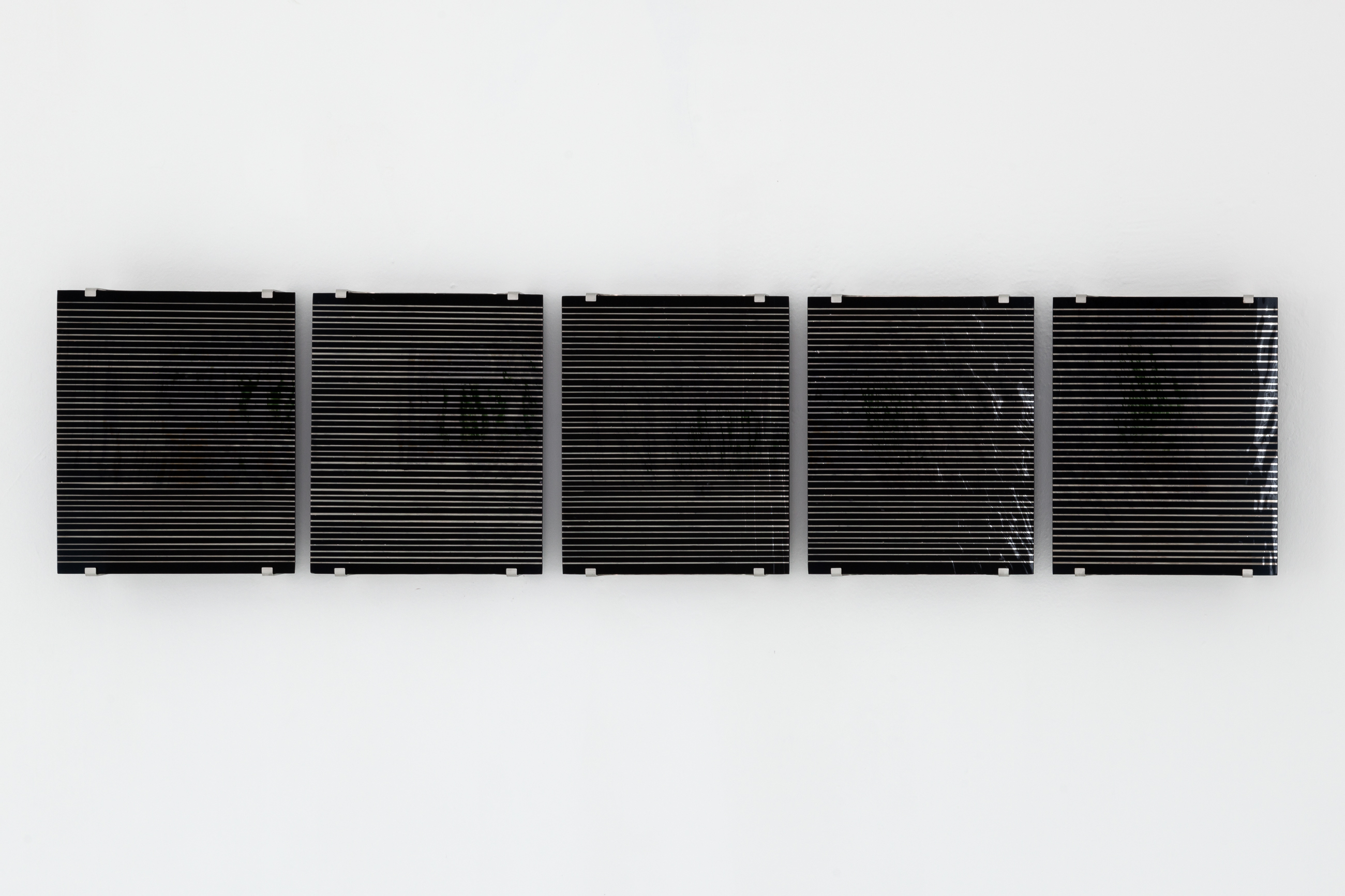 Thomas Hitchcock, A tender echo (articulations of the real), 2022, antique glass, platinum, stainless steel, rubber,135x34x10cm