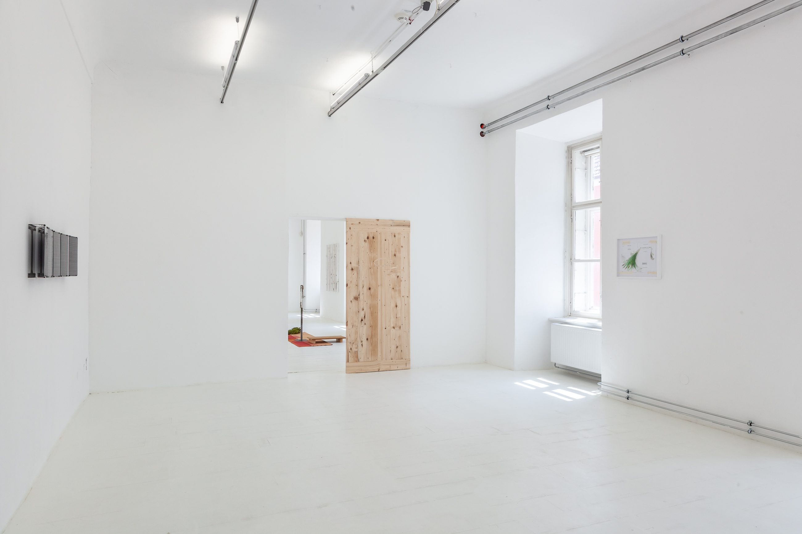 installation view, not knowing