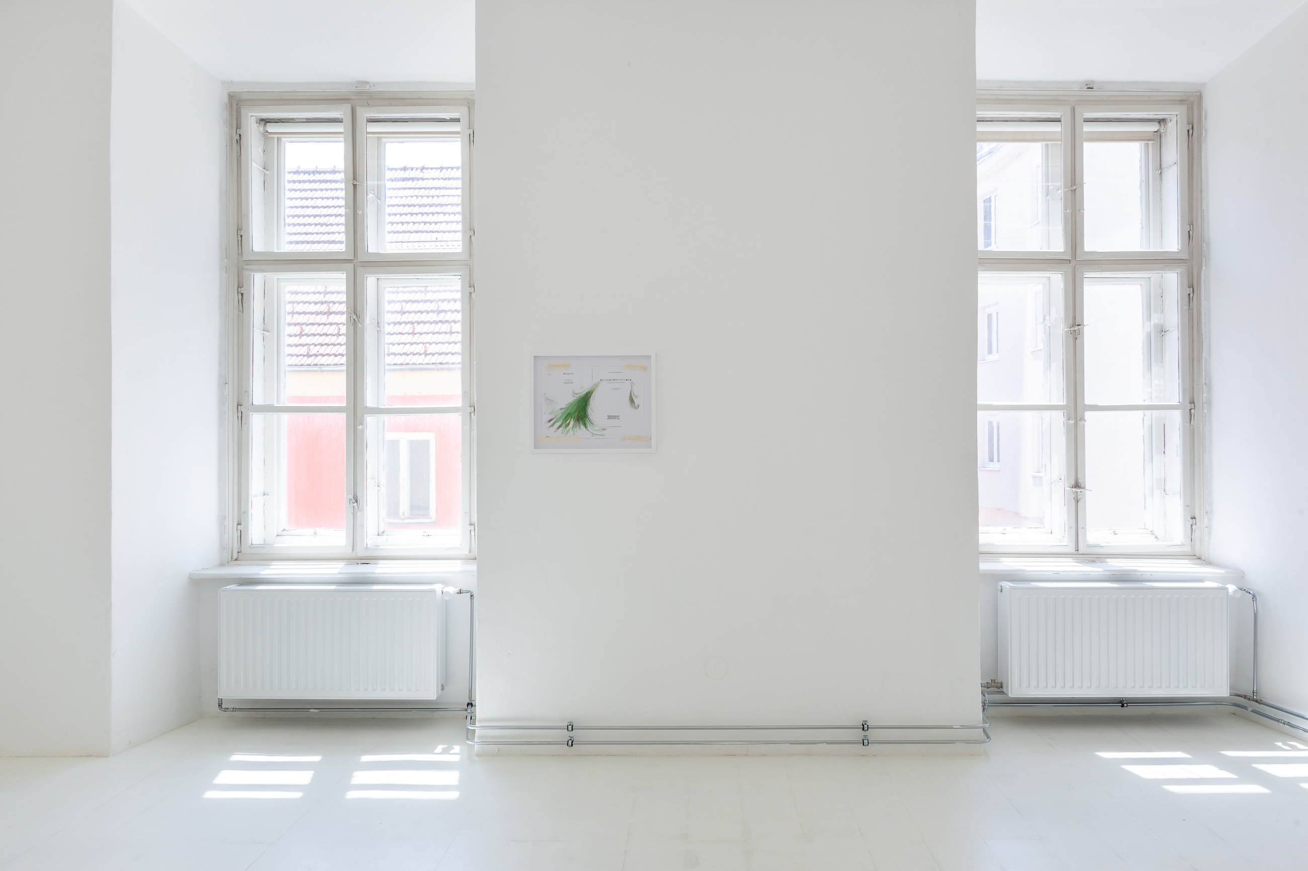 installation view, not knowing