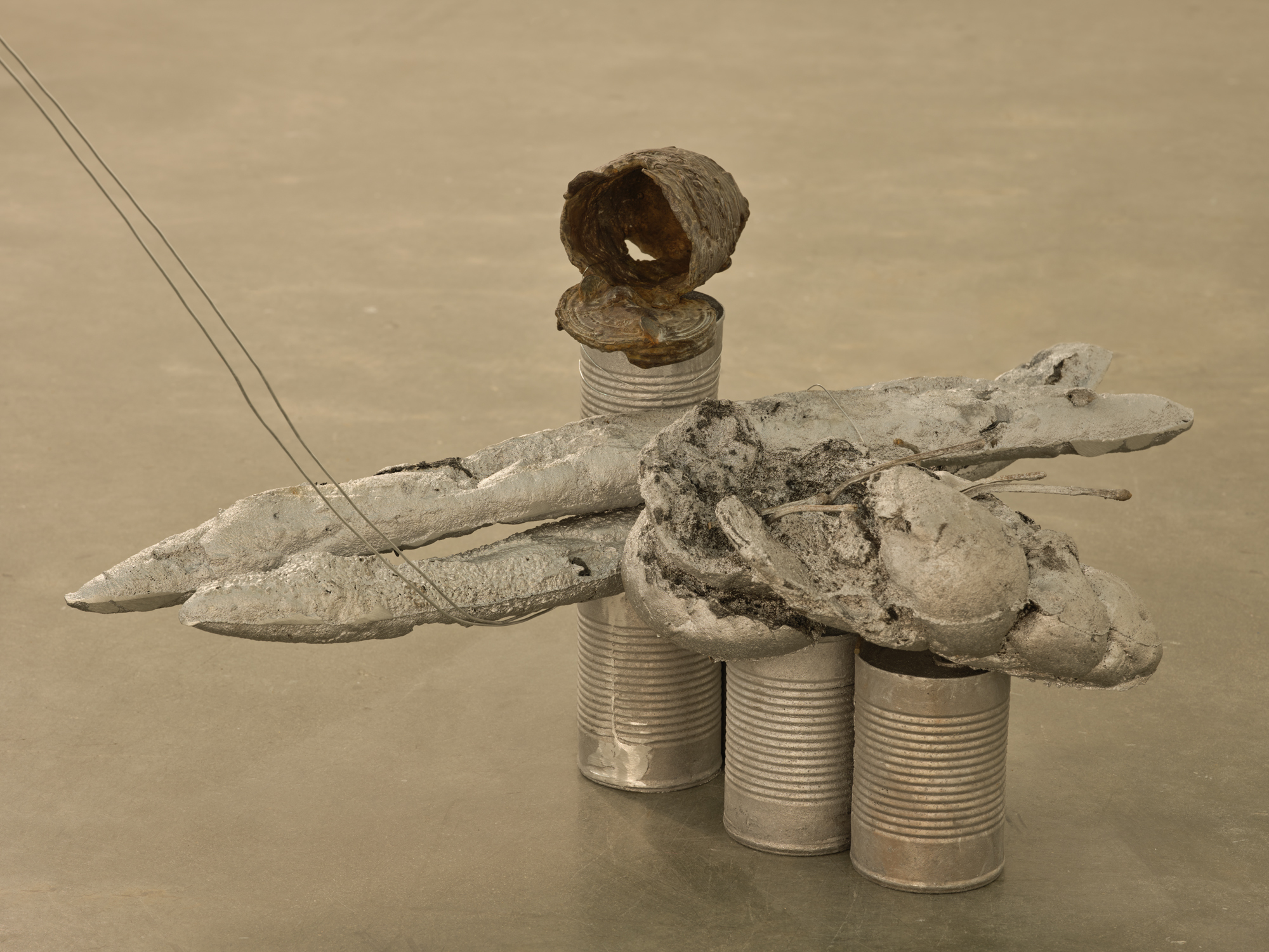 Rochelle Goldberg, "Cans" (installation detail), 2024, Contemporary Art Gallery, Vancouver. Photo: Rachel Topham Photography.