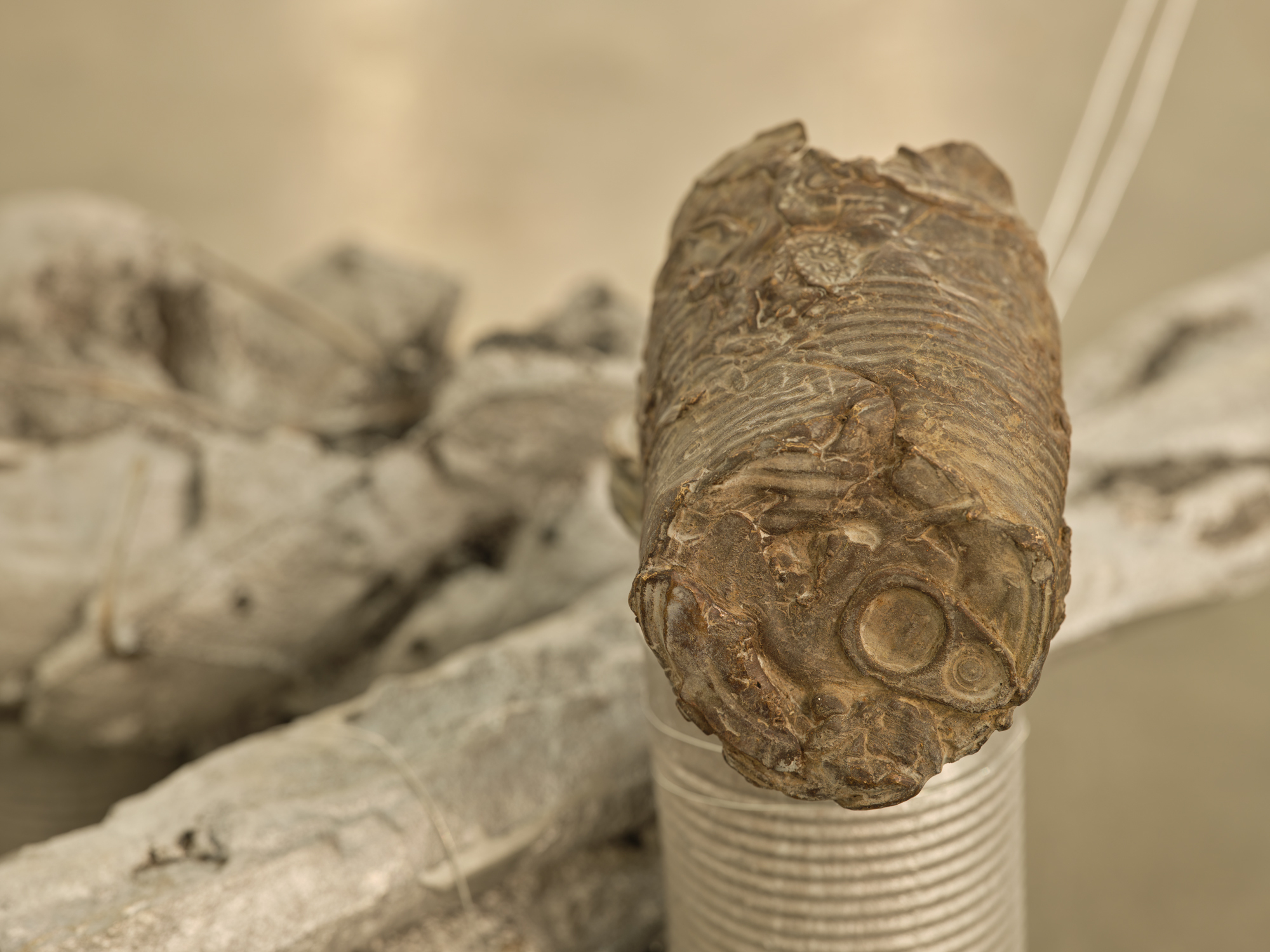 Rochelle Goldberg, "Cans" (installation detail), 2024, Contemporary Art Gallery, Vancouver. Photo: Rachel Topham Photography.