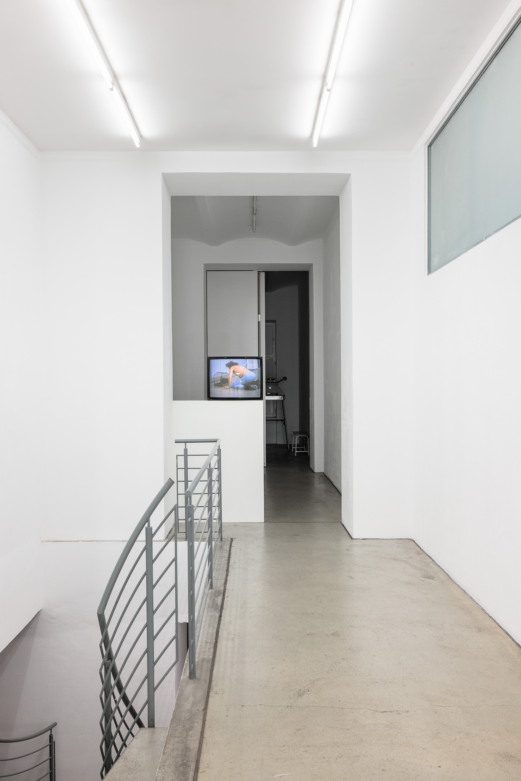 Birds and Flowers, exhibition view